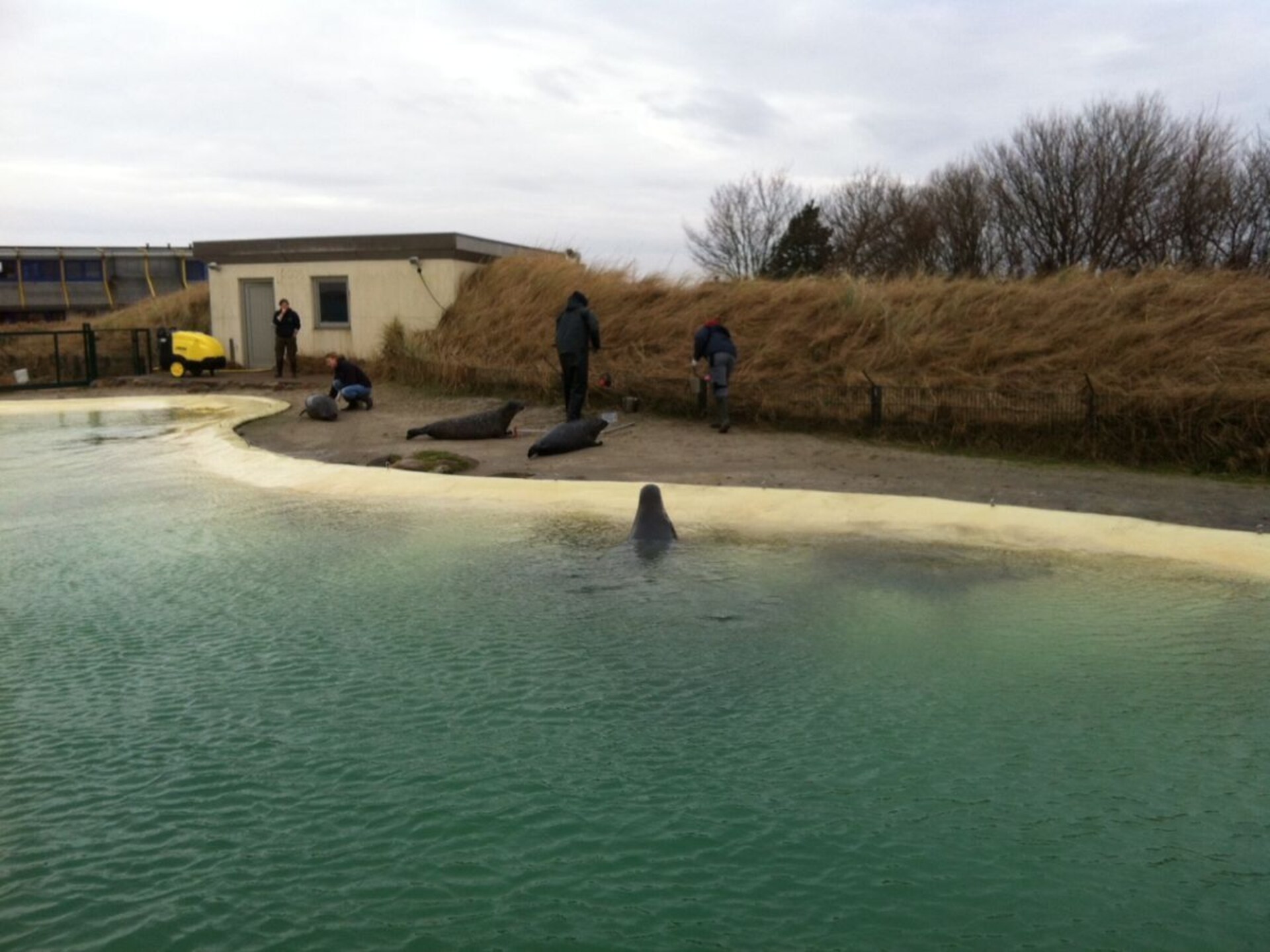 6-persoons vakantiehuis in het centrum van Friedrichskoog - foto 17