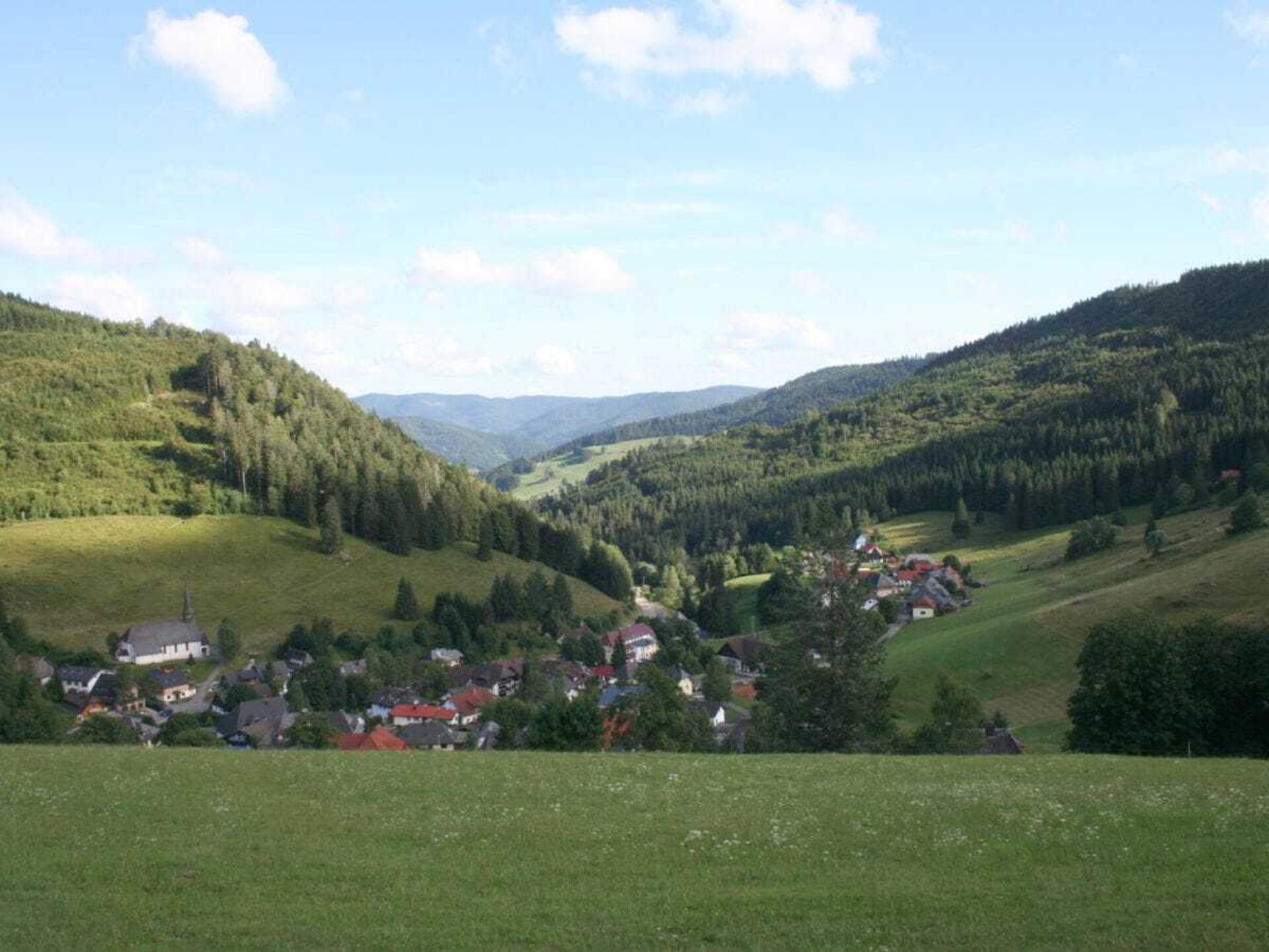 5-persoons vakantiehuis in Todtnau op 500 m van de piste - foto 8