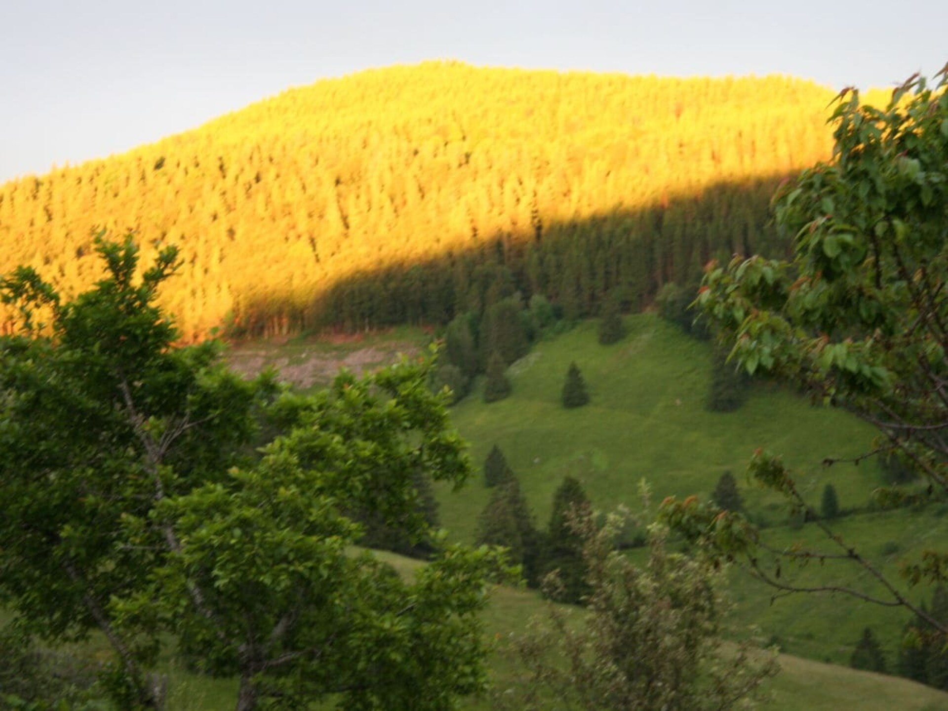 5-persoons vakantiehuis in Todtnau op 500 m van de piste - foto 9