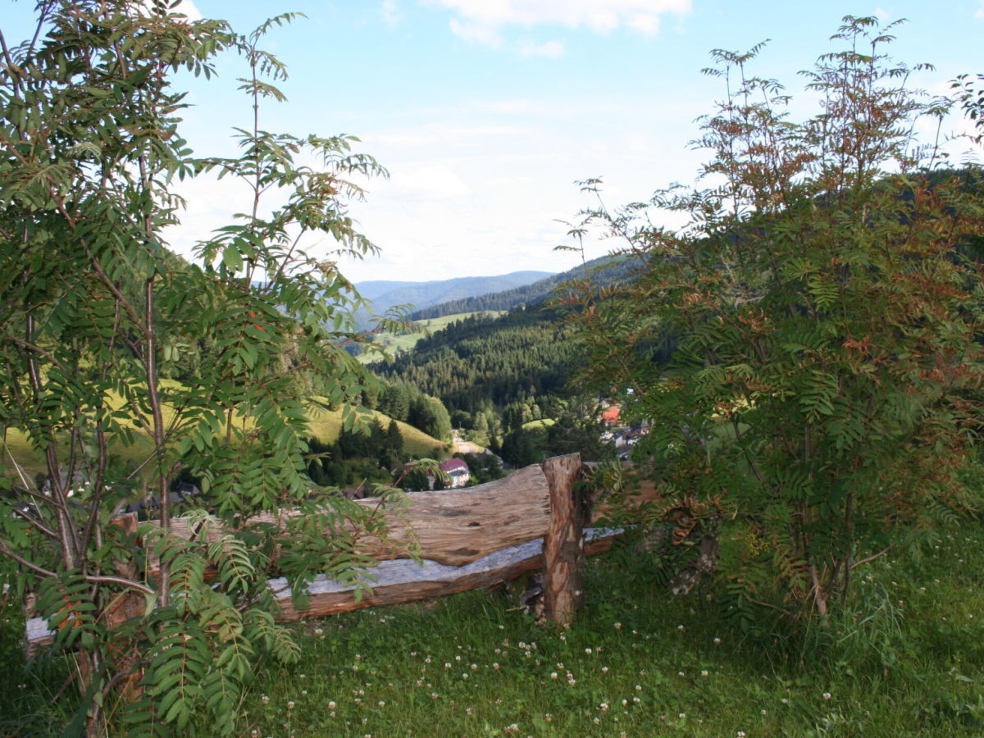 5-persoons vakantiehuis in Todtnau op 500 m van de piste - foto 10