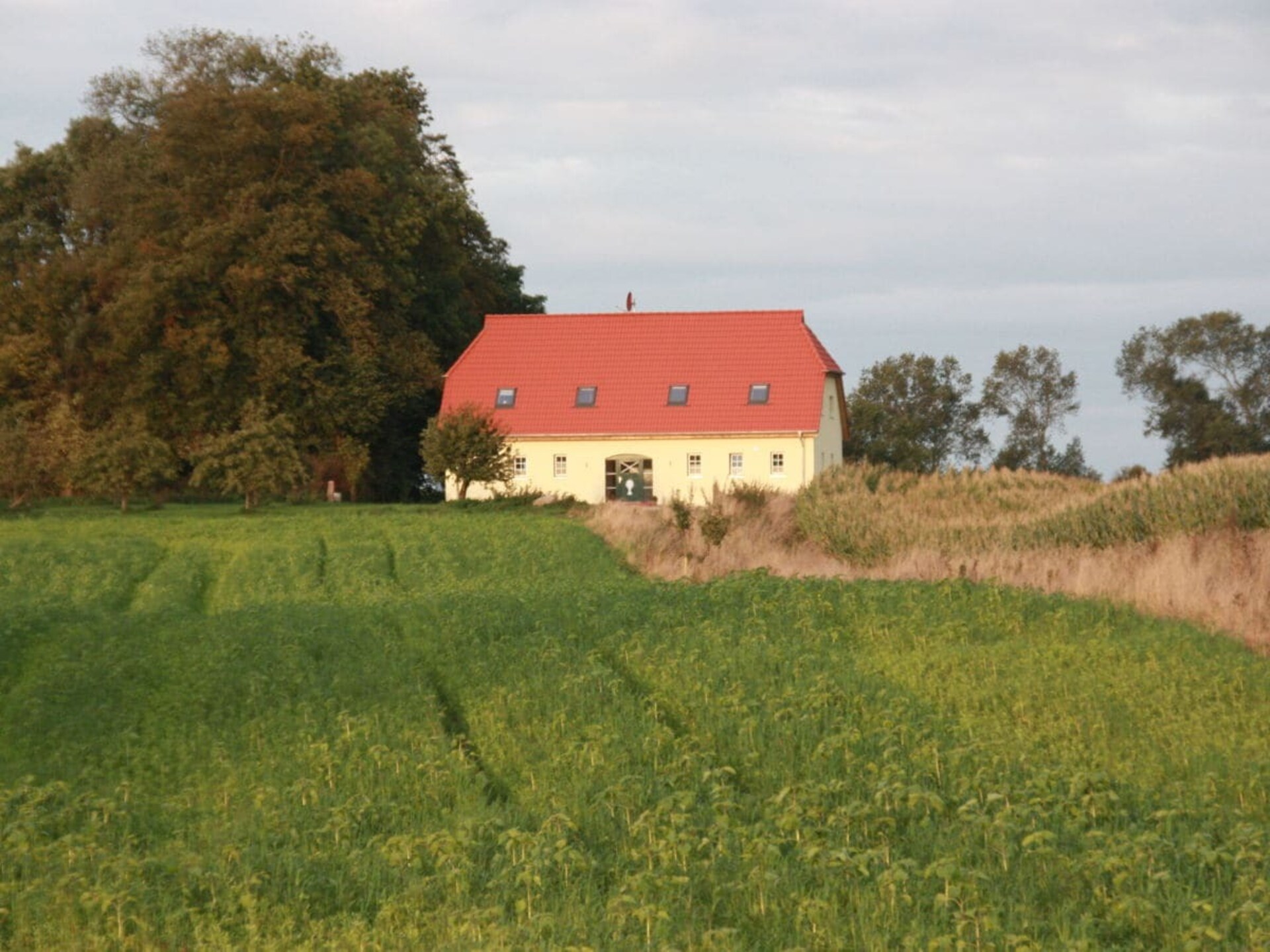 Op 1,0 km van het centrum: rustiek vakantiehuis in Hasselberg - foto 1