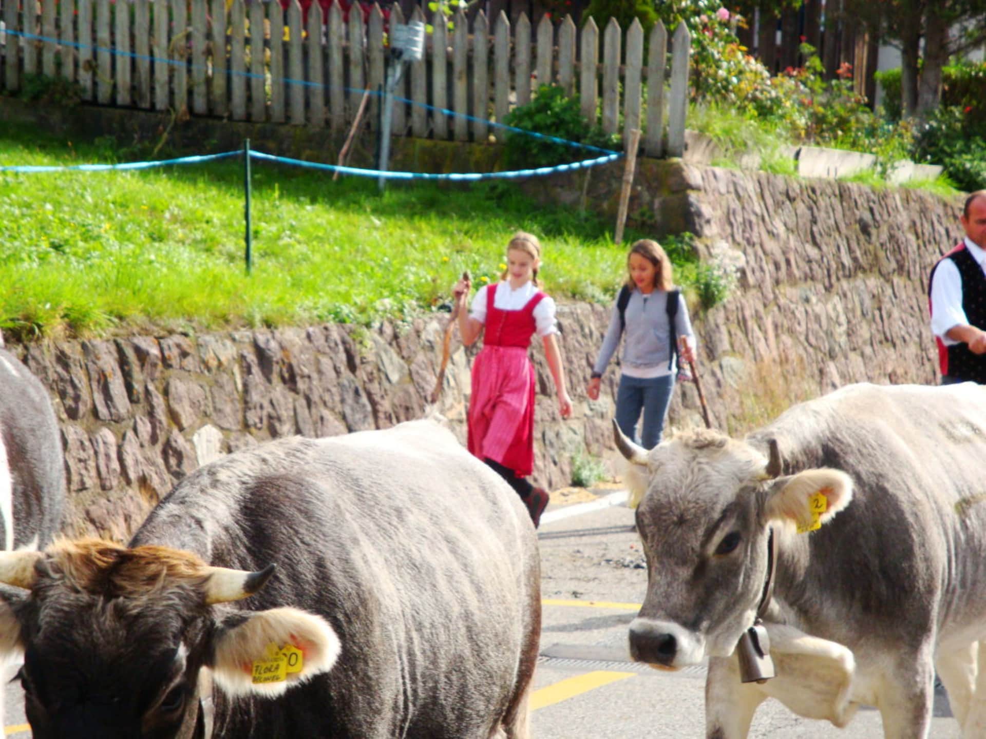 Sfeervolle boerderij in Völs am Schlern voor 5 personen - foto 20