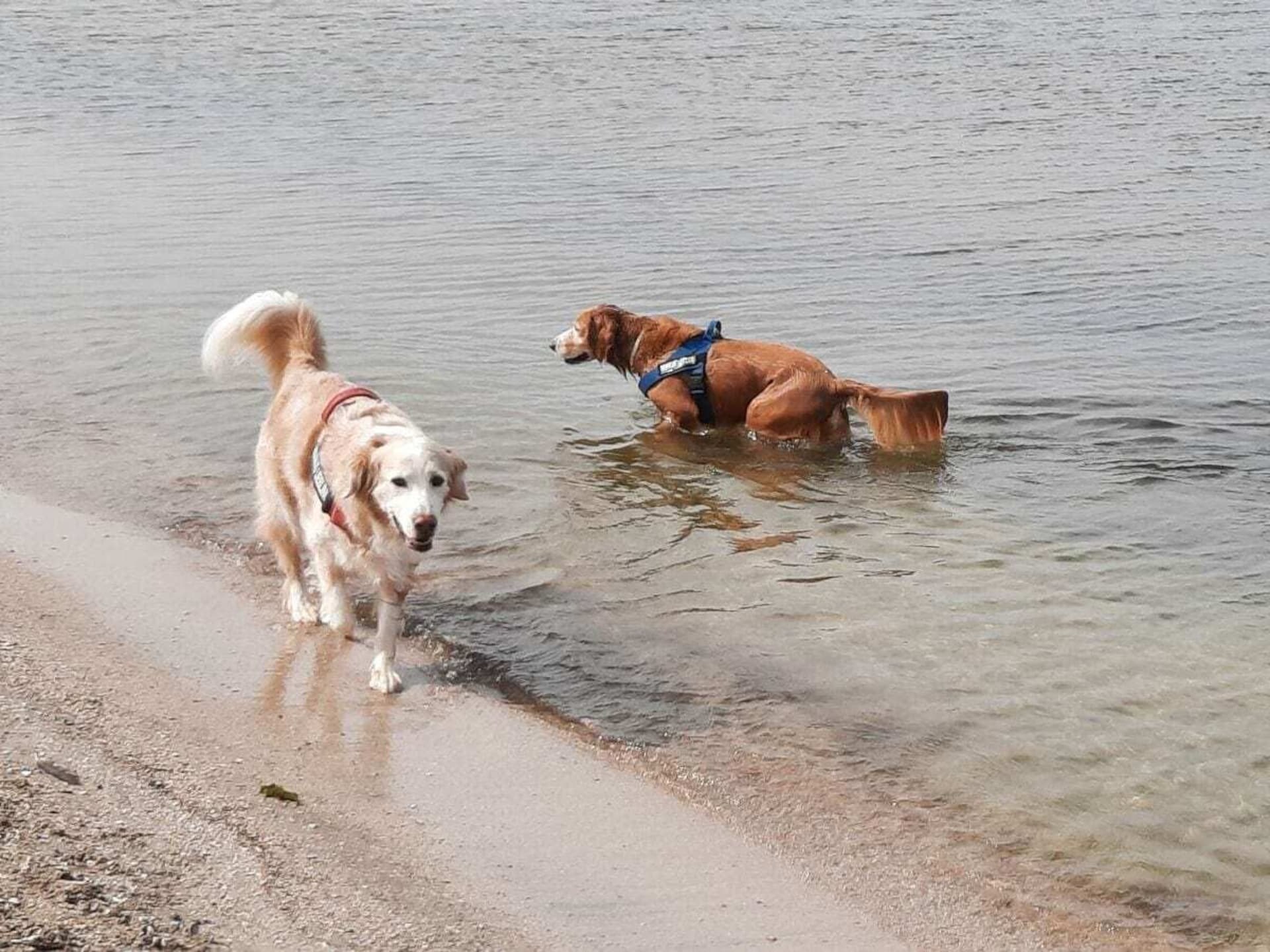 Modern vakantiehuis aan het water in Wervershoof voor 6 personen - foto 27