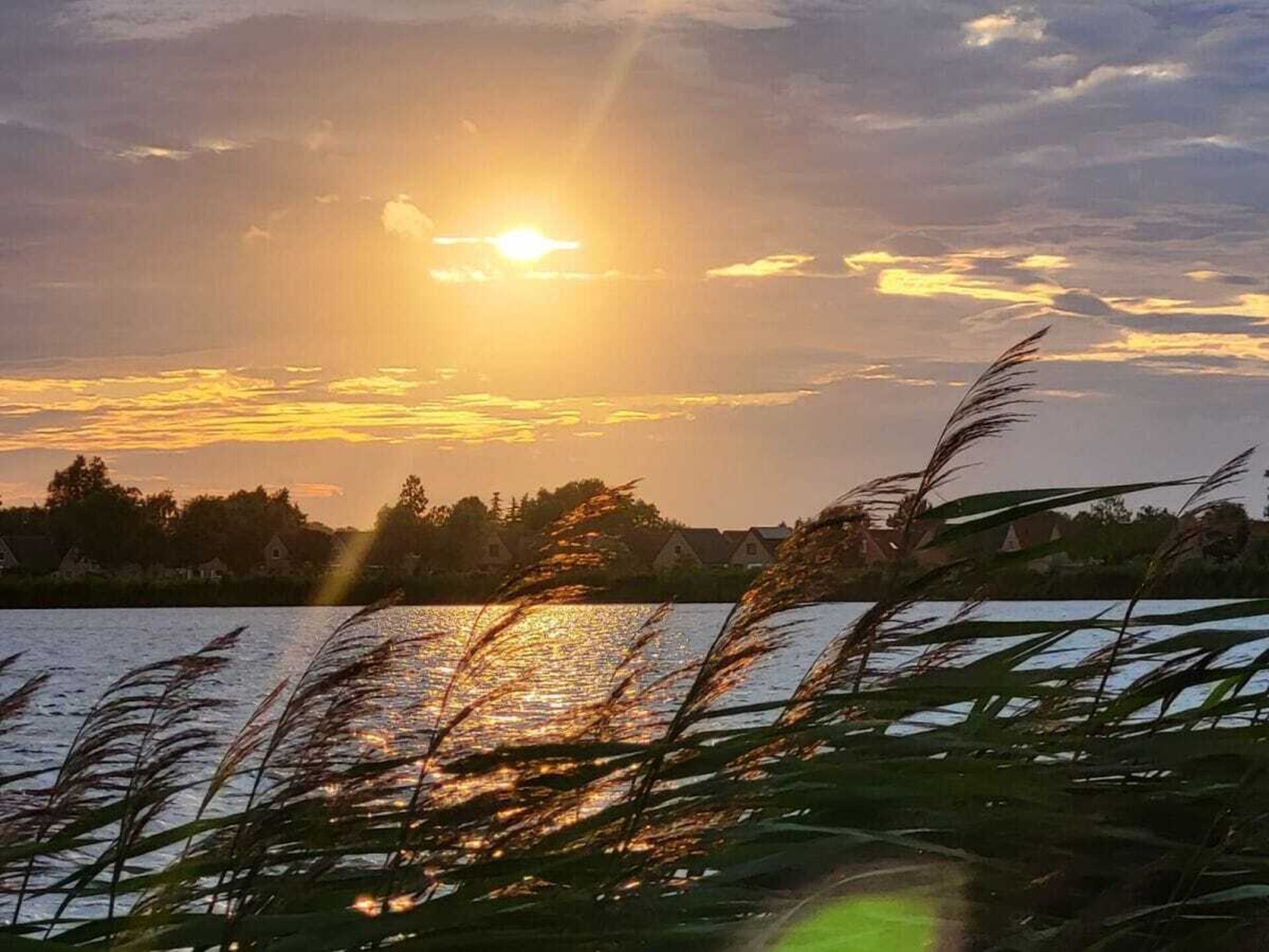 Modern vakantiehuis aan het water in Wervershoof voor 6 personen - foto 30