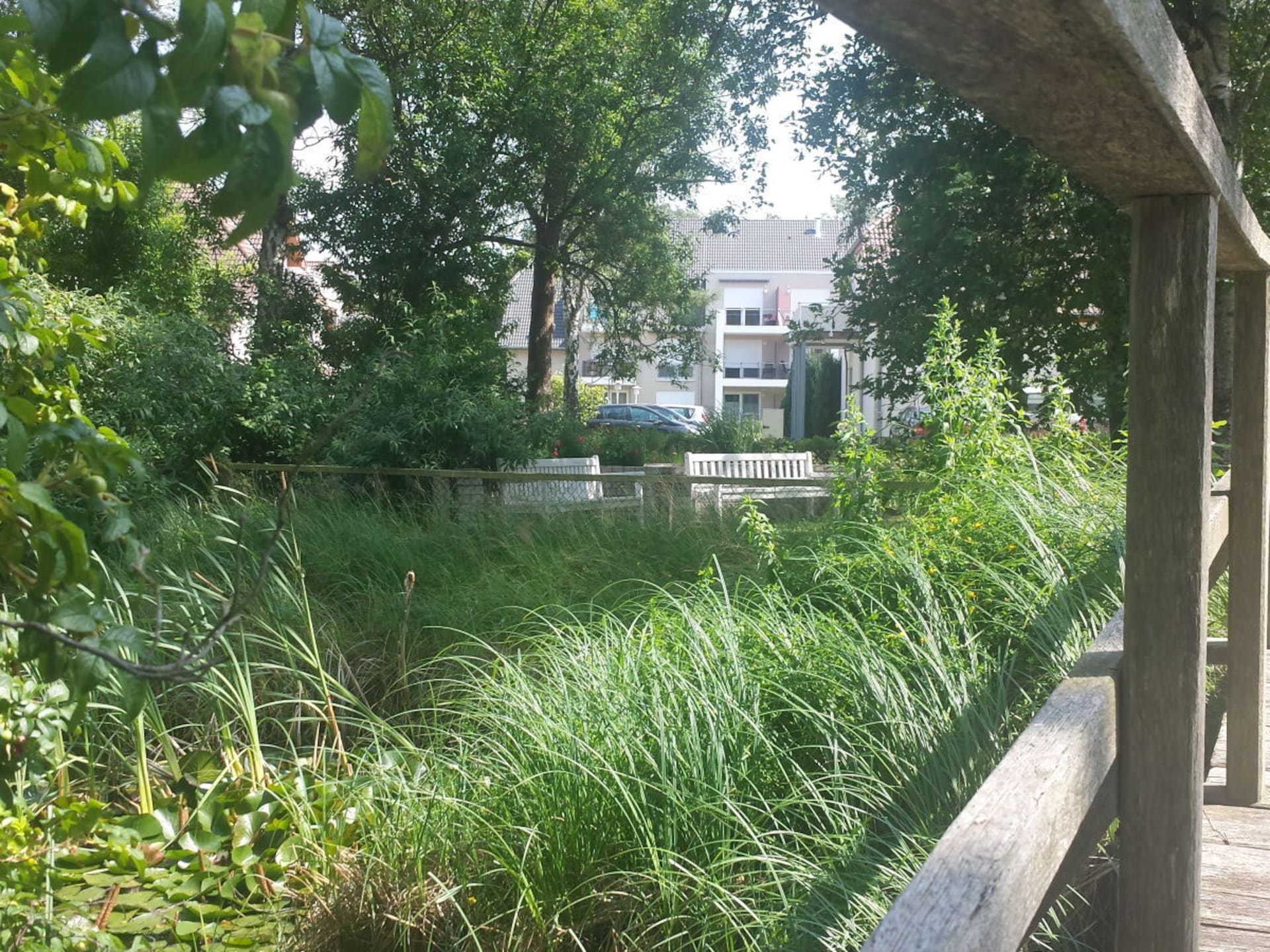 Luxe vakantiehuis Dünenoase in Dierhagen voor 2 personen - foto 9