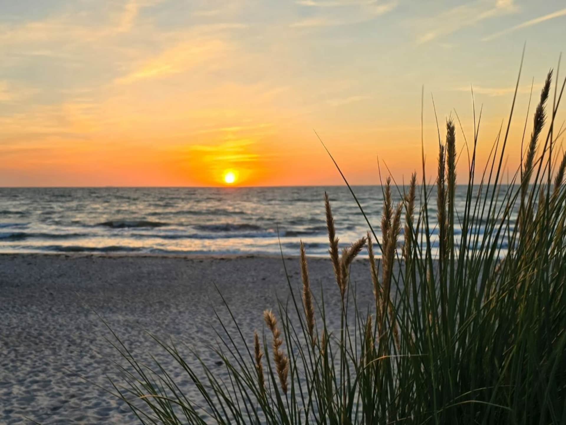 Luxe vakantiehuis Dünenoase in Dierhagen voor 2 personen - foto 18