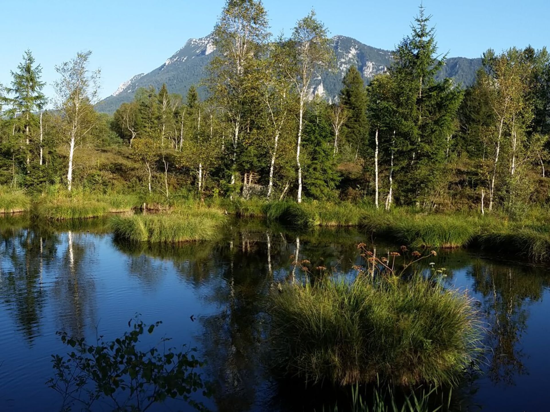 Houten vakantiehuis Rauschberg in Inzell voor 4 personen - foto 37