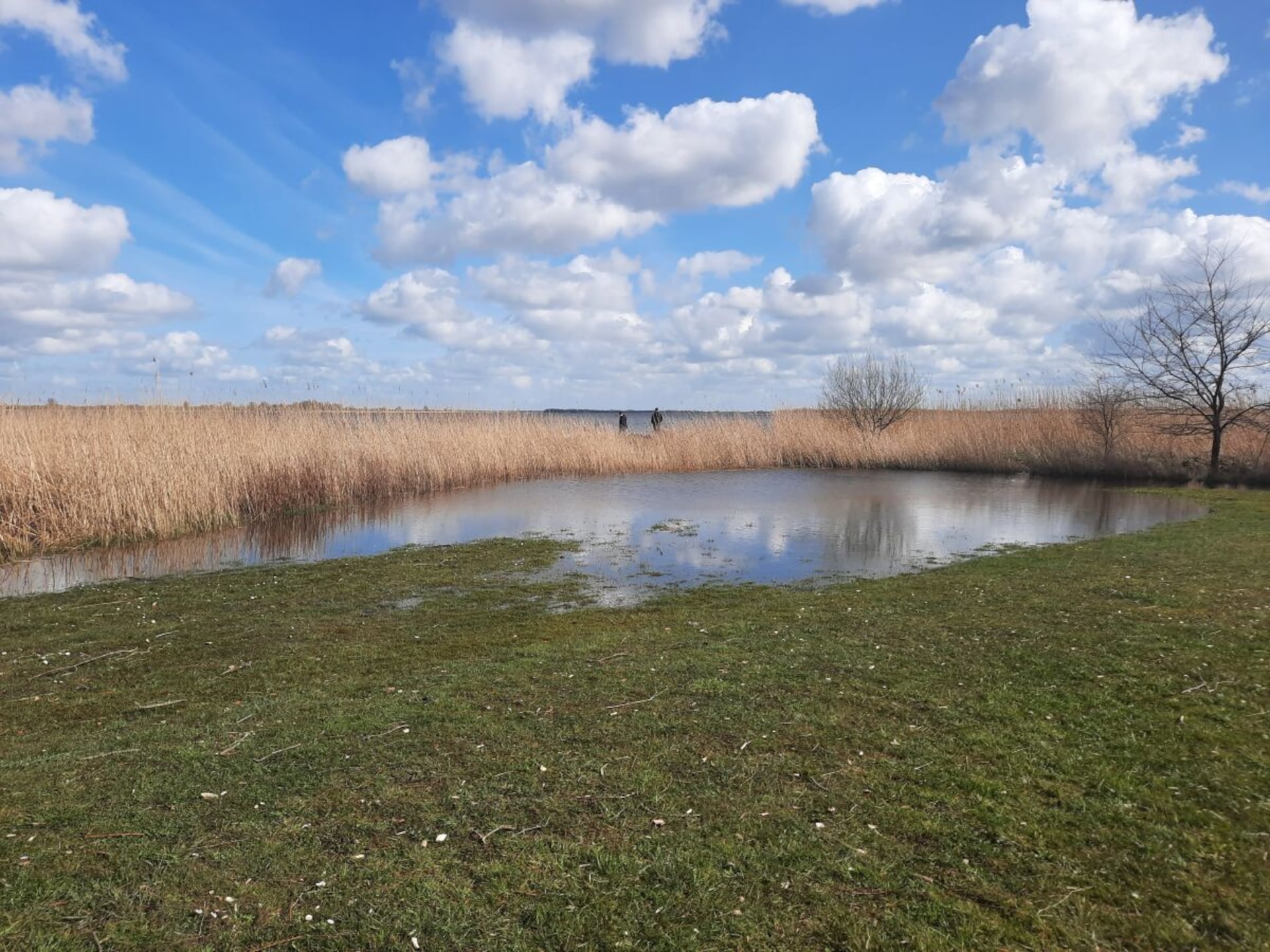Rustgevend vakantiehuis aan het kanaal in Anjum voor 6 personen - foto 28