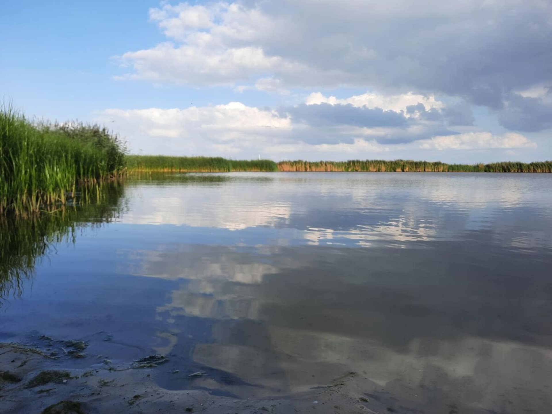 Rustgevend vakantiehuis aan het kanaal in Anjum voor 6 personen - foto 29