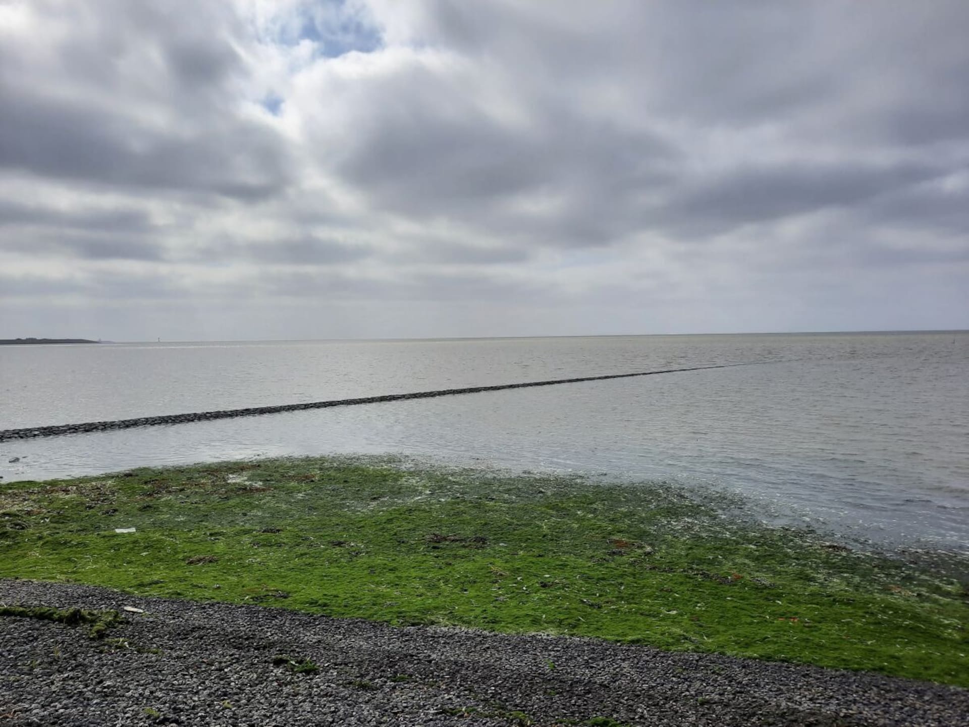 Rustgevend vakantiehuis aan het kanaal in Anjum voor 6 personen - foto 38