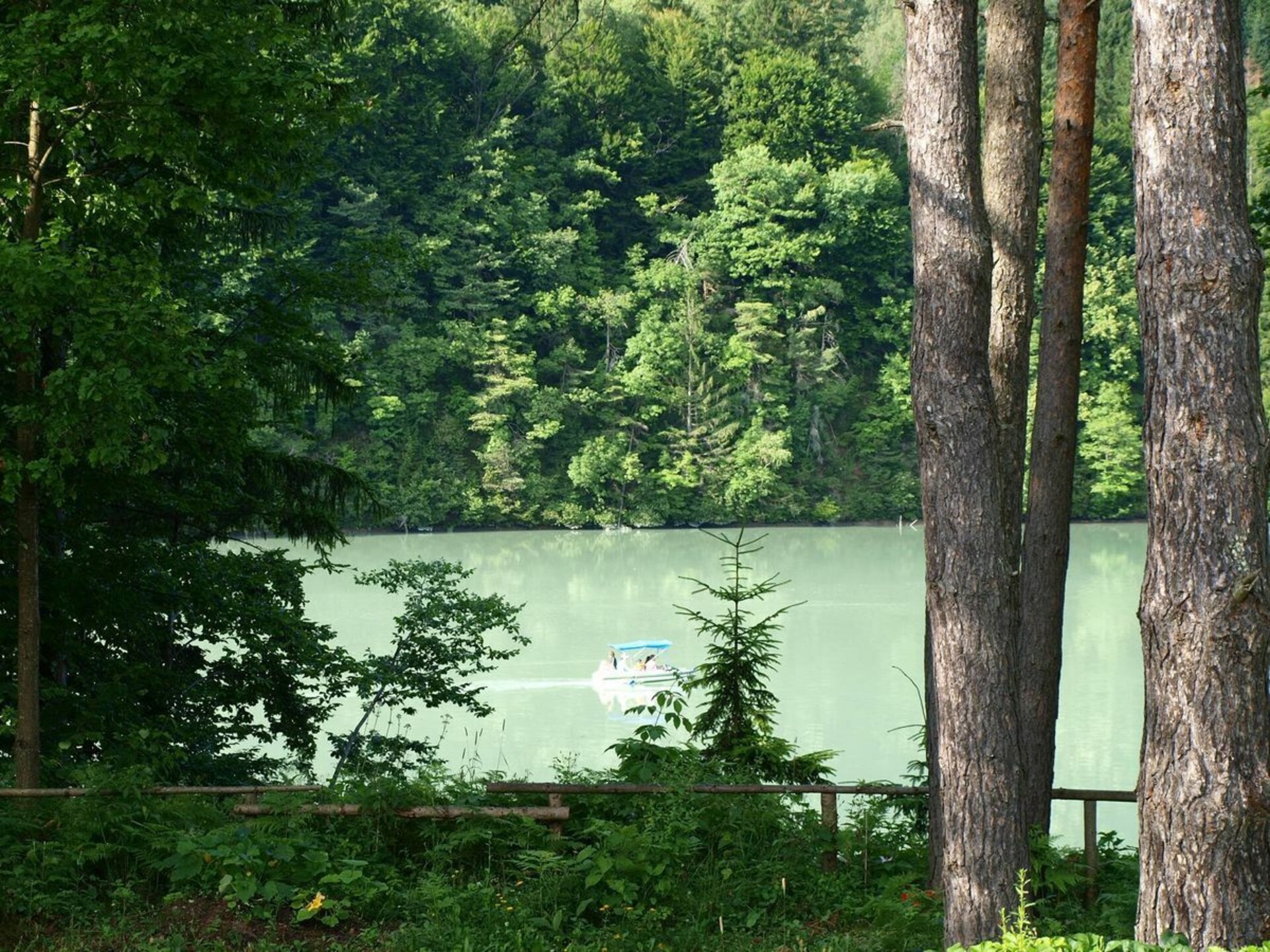 Comfortabel vakantiehuis met privéтуin in Feistritz im Rosental - foto 14