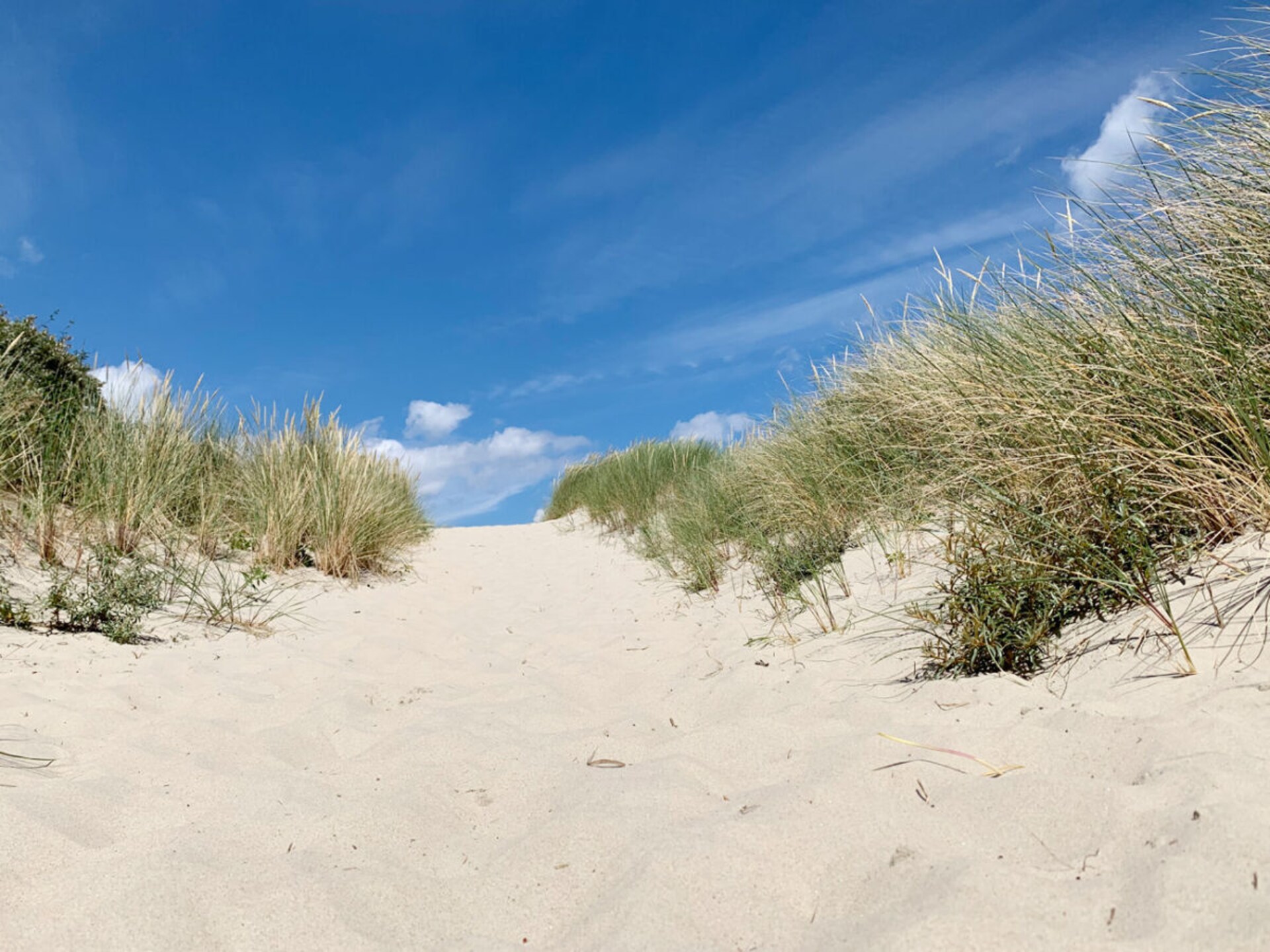 4-persoons vakantiehuis in Juist met sauna en uitzicht op de dijk - foto 24