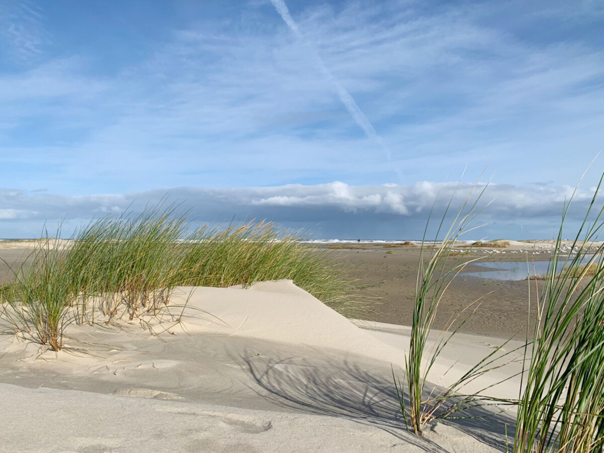 4-persoons vakantiehuis in Juist met sauna en uitzicht op de dijk - foto 28