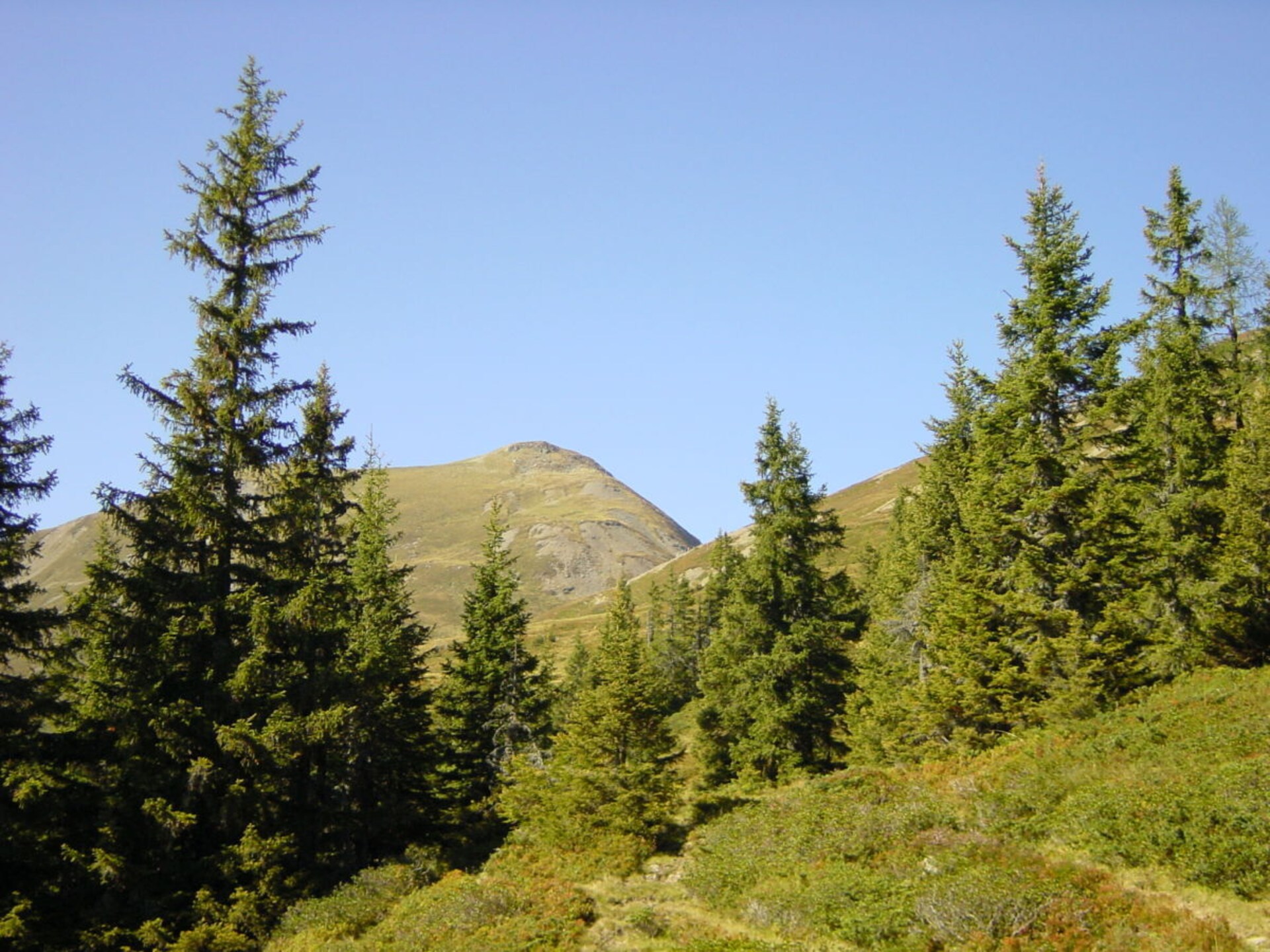 4-persoons vakantiehuis in Piesendorf op 1,5 km van de piste - foto 19