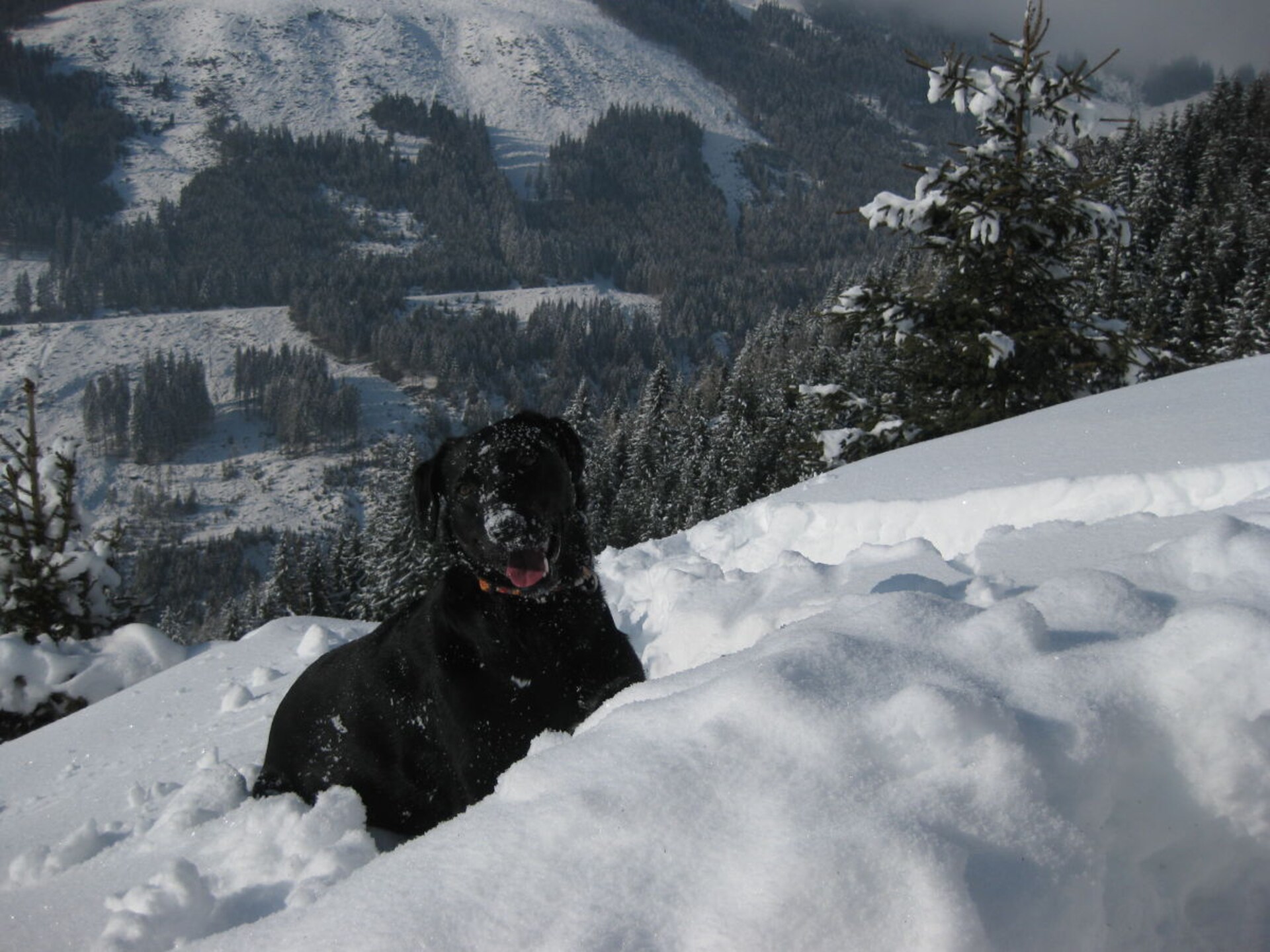 4-persoons vakantiehuis in Piesendorf op 1,5 km van de piste - foto 21