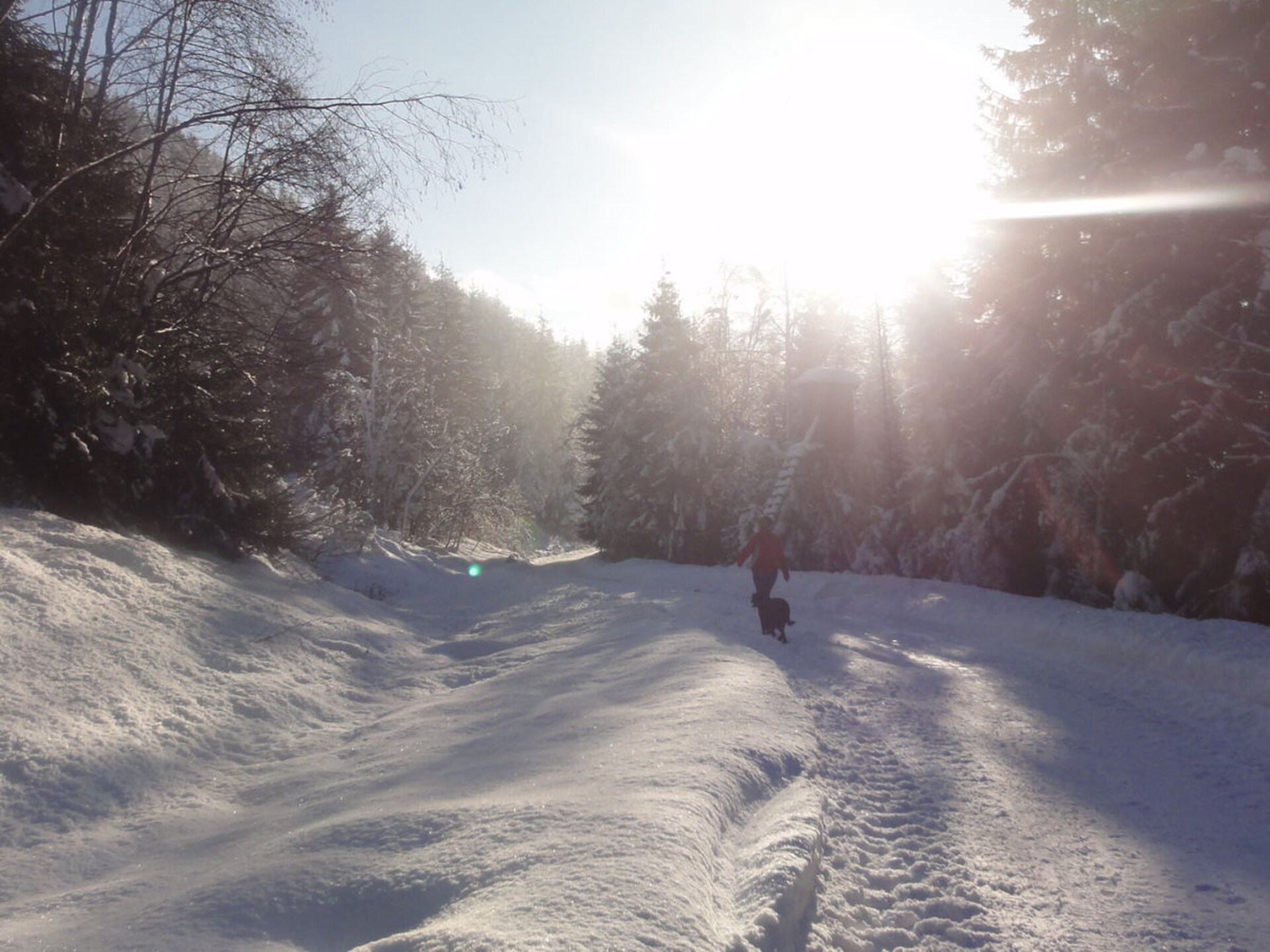 4-persoons vakantiehuis in Piesendorf op 1,5 km van de piste - foto 23