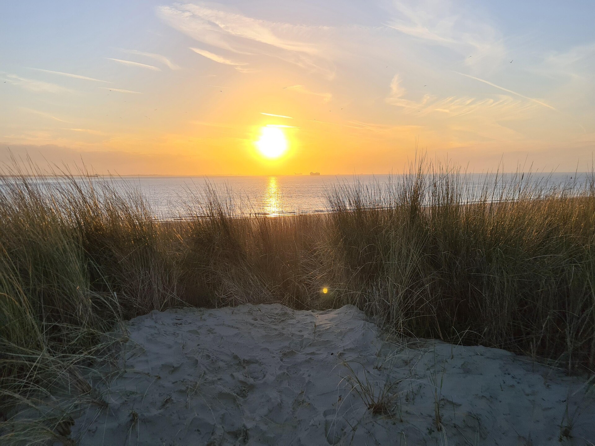 8-persoons vakantiehuis in Baarland direct aan zee - foto 47