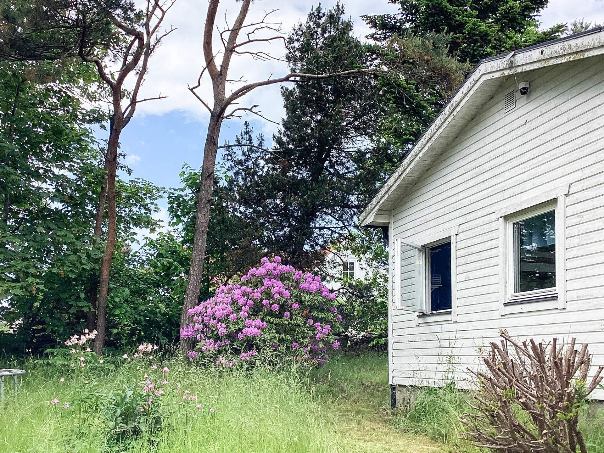 Sfeervol vakantiehuis in Båstad op loopafstand van het strand - foto 6