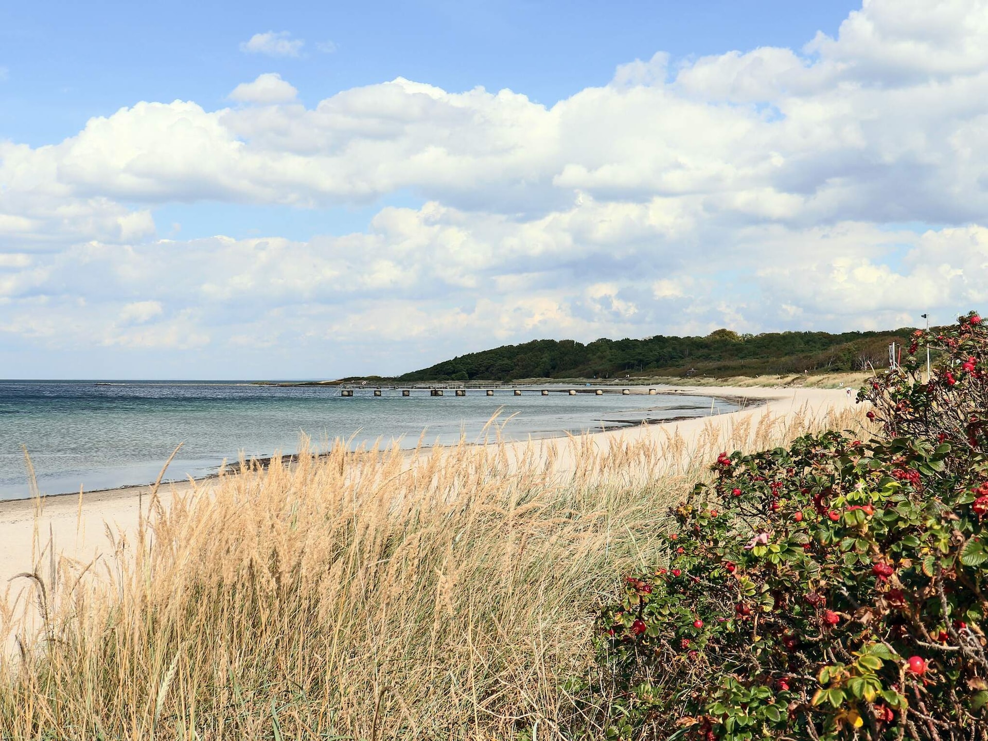 Sfeervol vakantiehuis in Båstad op loopafstand van het strand - foto 34