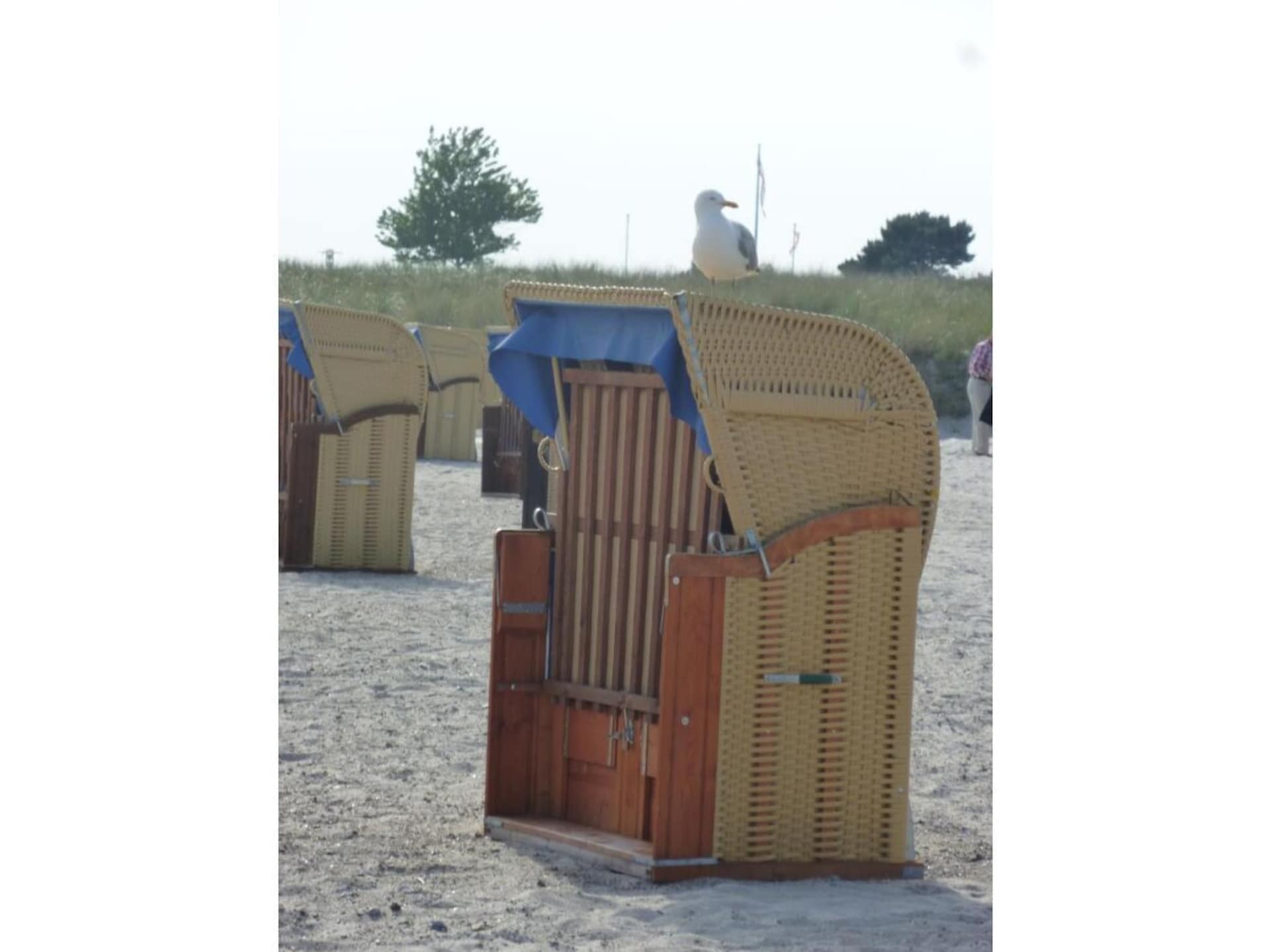 Luxe vakantiehuis Aussicht direct aan het zandstrand op Fehmarn - foto 26