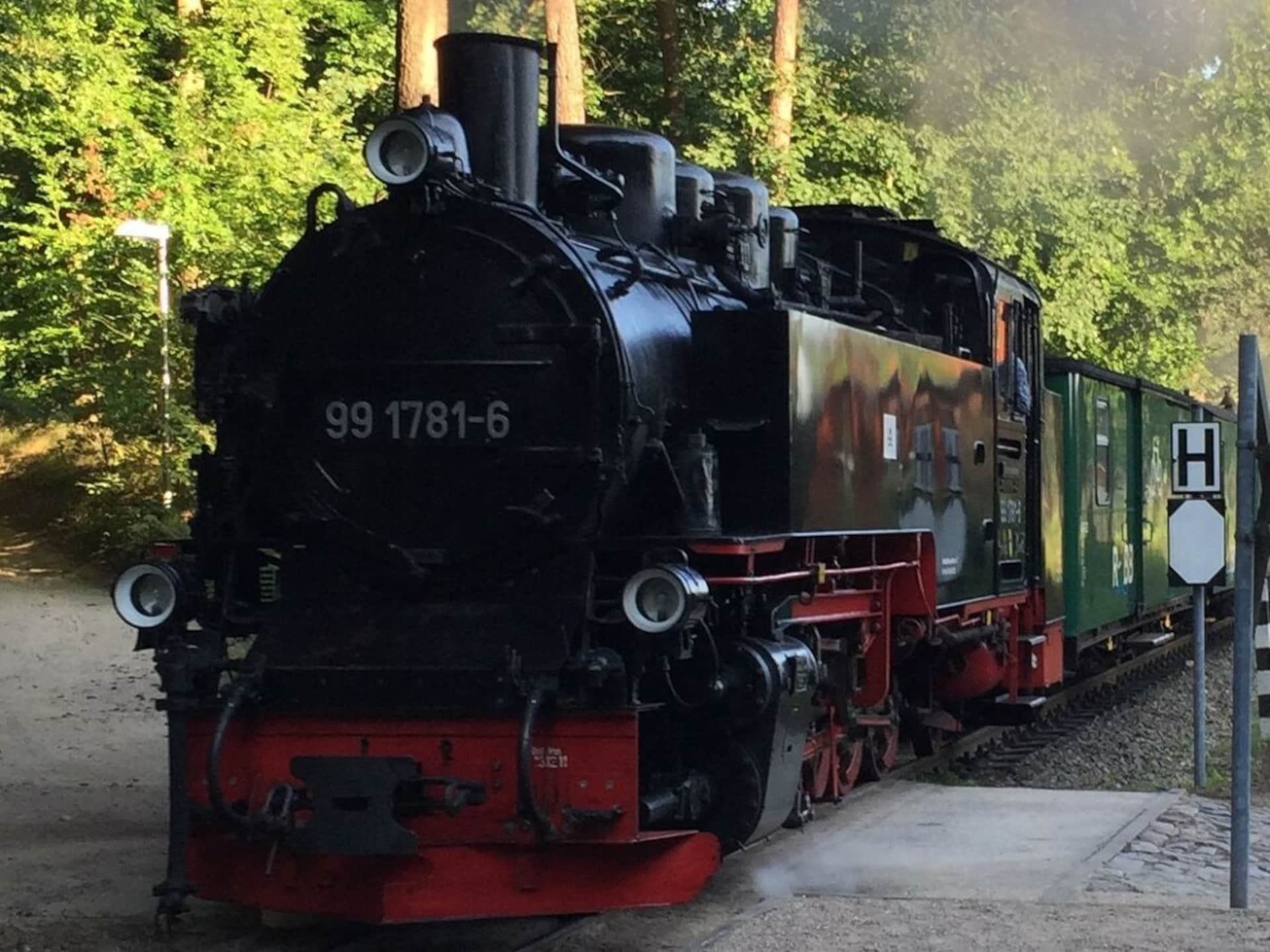 Sfeervol vakantiehuis met rieten dak en sauna in Dranske - foto 31