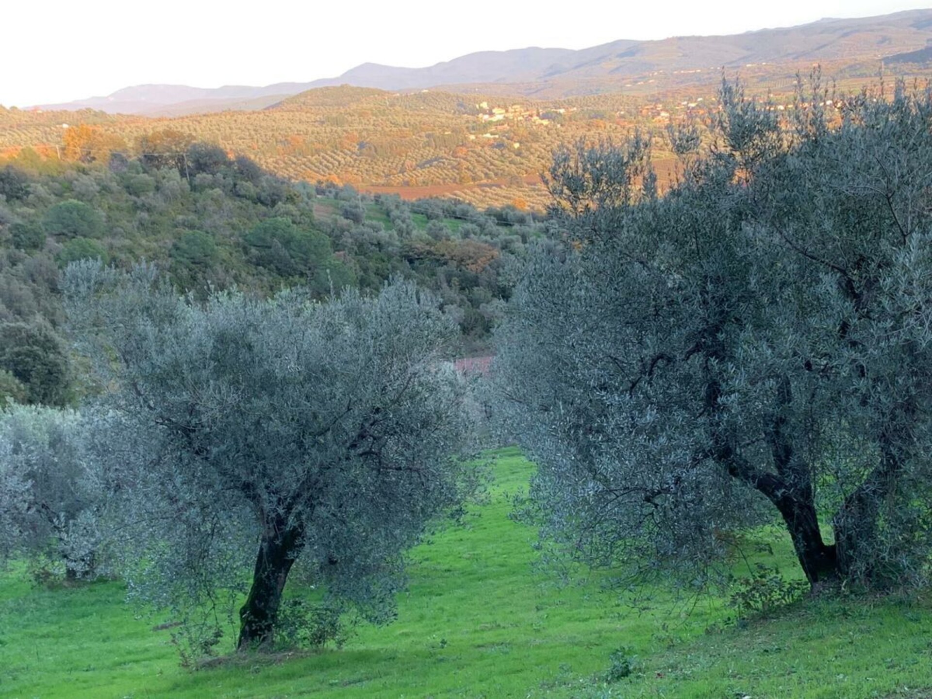 Modern en toegankelijk vakantiehuis in Suvereto - foto 35