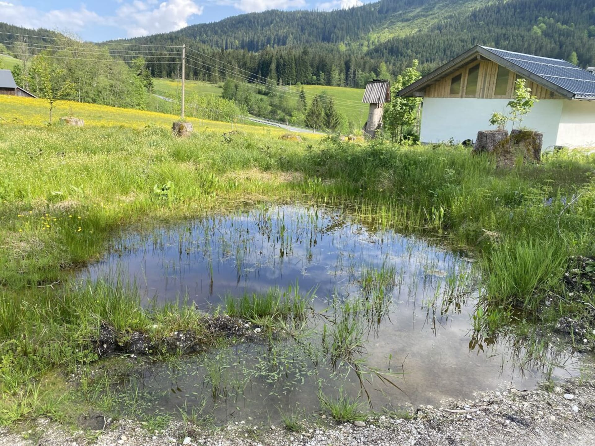 Ruim vakantiehuis voor 6 personen in Russbach am Pass Gschütt - foto 4