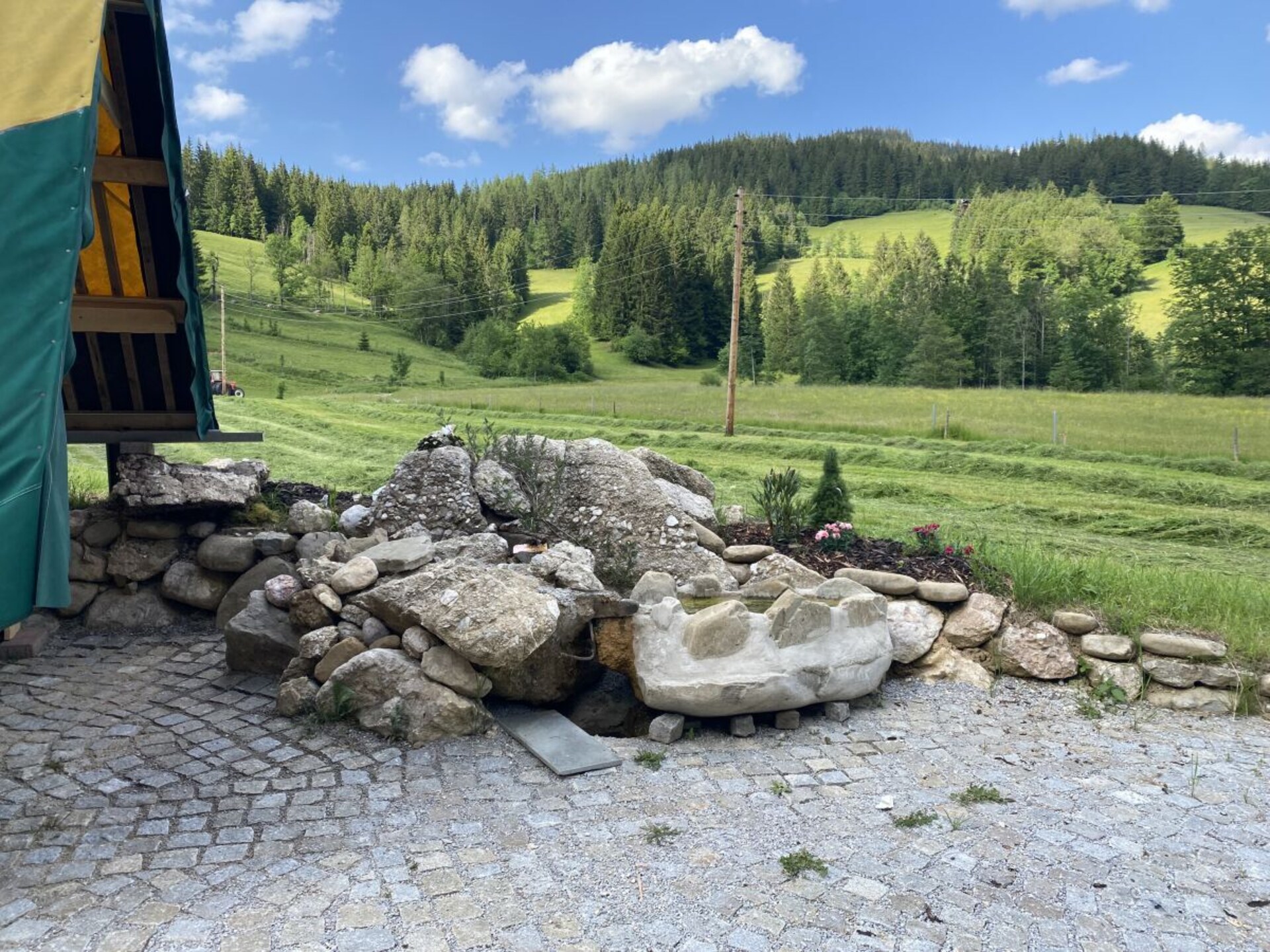 Ruim vakantiehuis voor 6 personen in Russbach am Pass Gschütt - foto 5