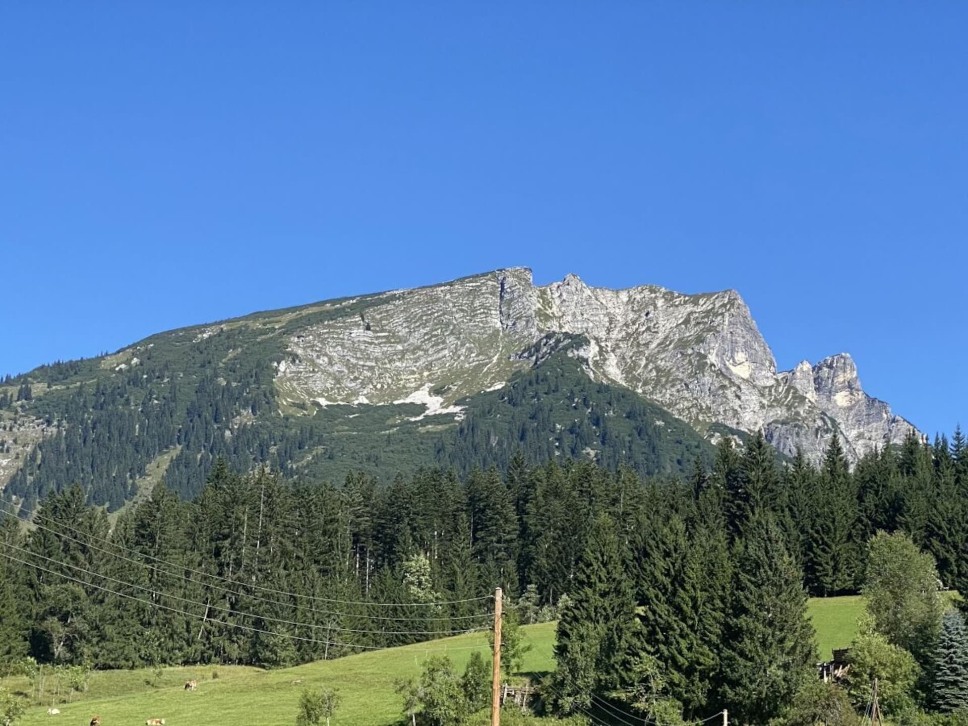 Ruim vakantiehuis voor 6 personen in Russbach am Pass Gschütt - foto 7