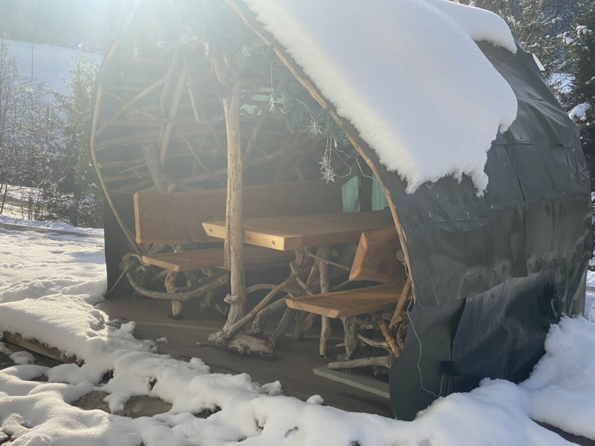 Ruim vakantiehuis voor 6 personen in Russbach am Pass Gschütt - foto 11