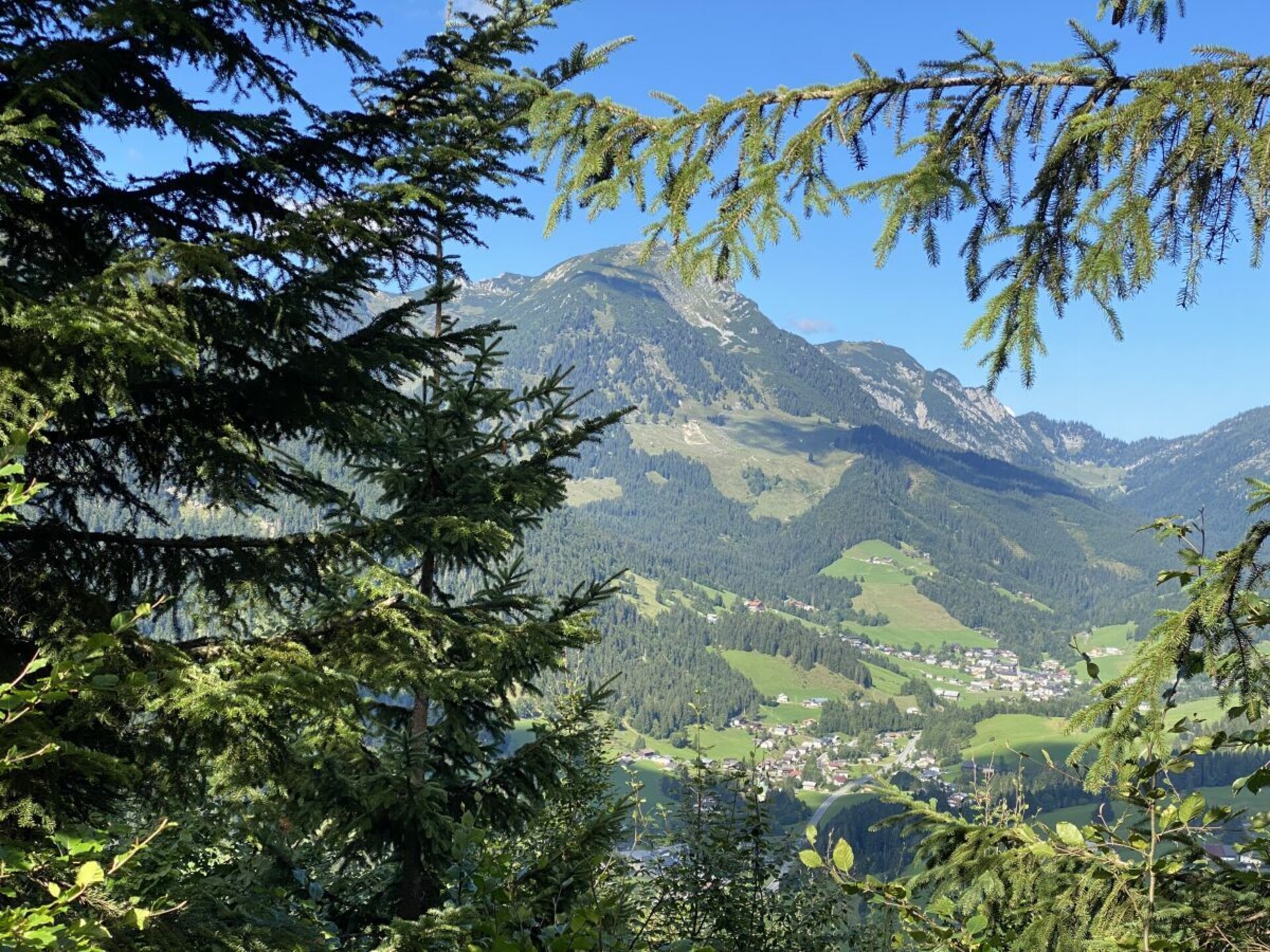 Ruim vakantiehuis voor 6 personen in Russbach am Pass Gschütt - foto 22
