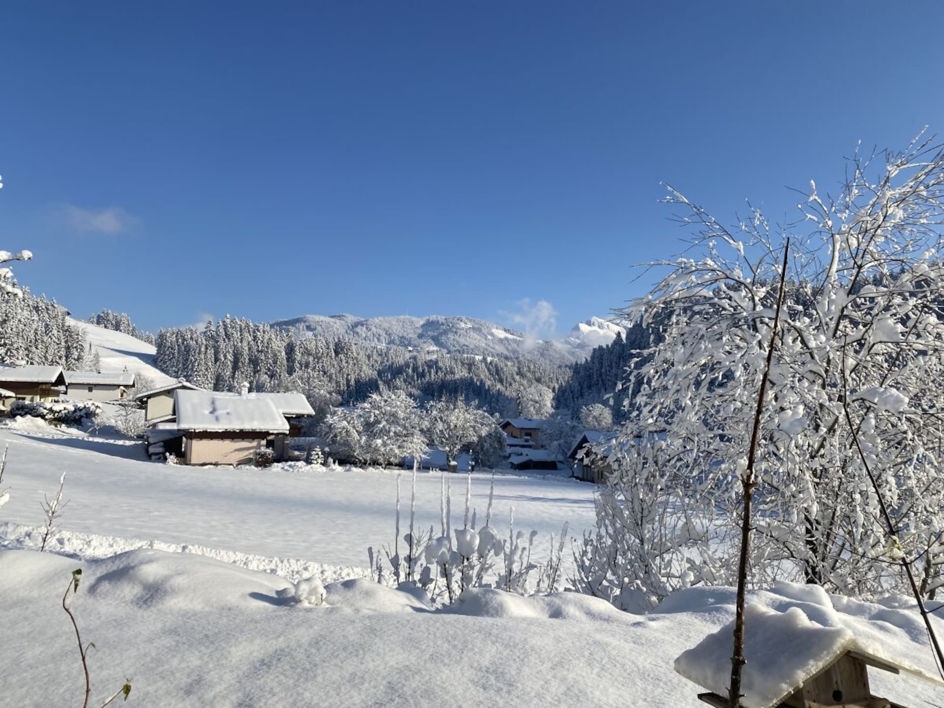 Ruim vakantiehuis voor 6 personen in Russbach am Pass Gschütt - foto 23