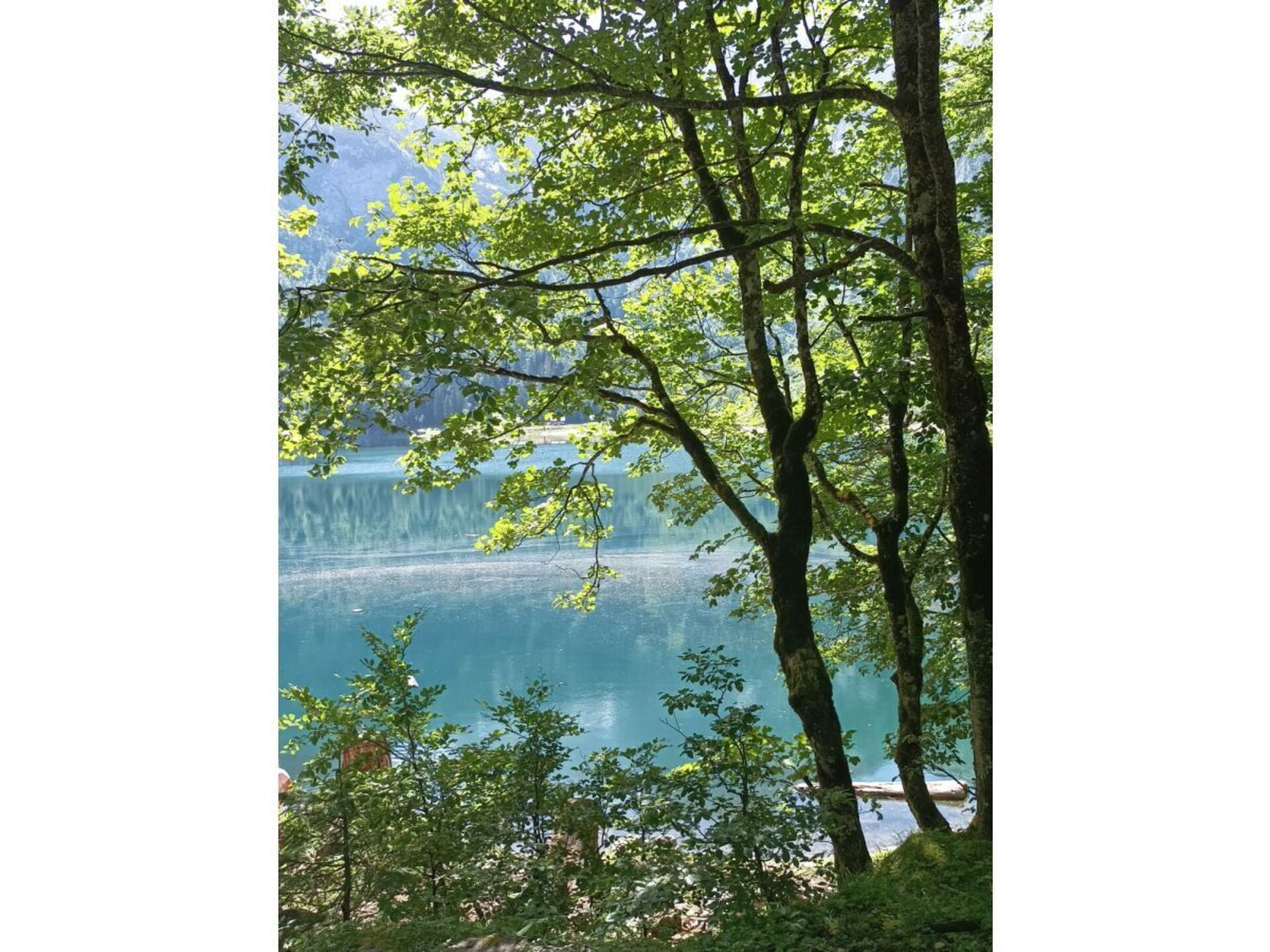 Ruim vakantiehuis voor 6 personen in Russbach am Pass Gschütt - foto 30