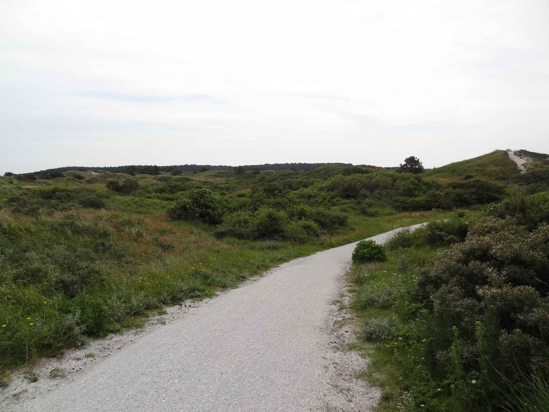 De Scholekster: Vrijstaand vakantiehuis aan het Lauwersmeer in Oostmahorn - foto 34