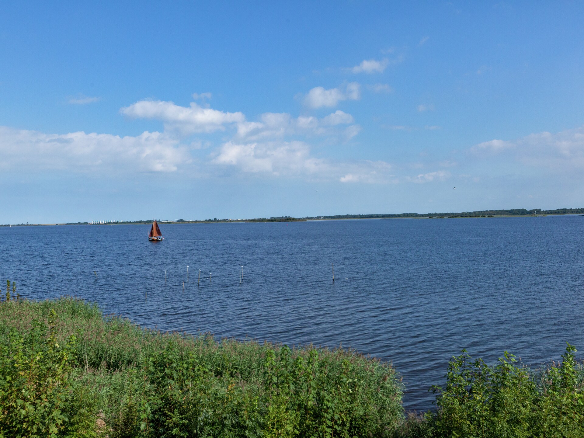 De Scholekster: Vrijstaand vakantiehuis aan het Lauwersmeer in Oostmahorn - foto 16