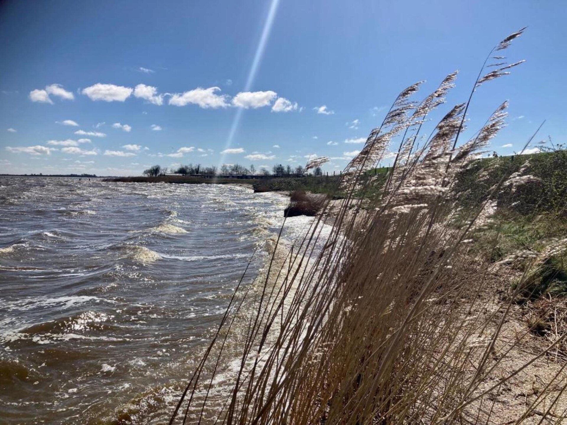 De Scholekster: Vrijstaand vakantiehuis aan het Lauwersmeer in Oostmahorn - foto 25