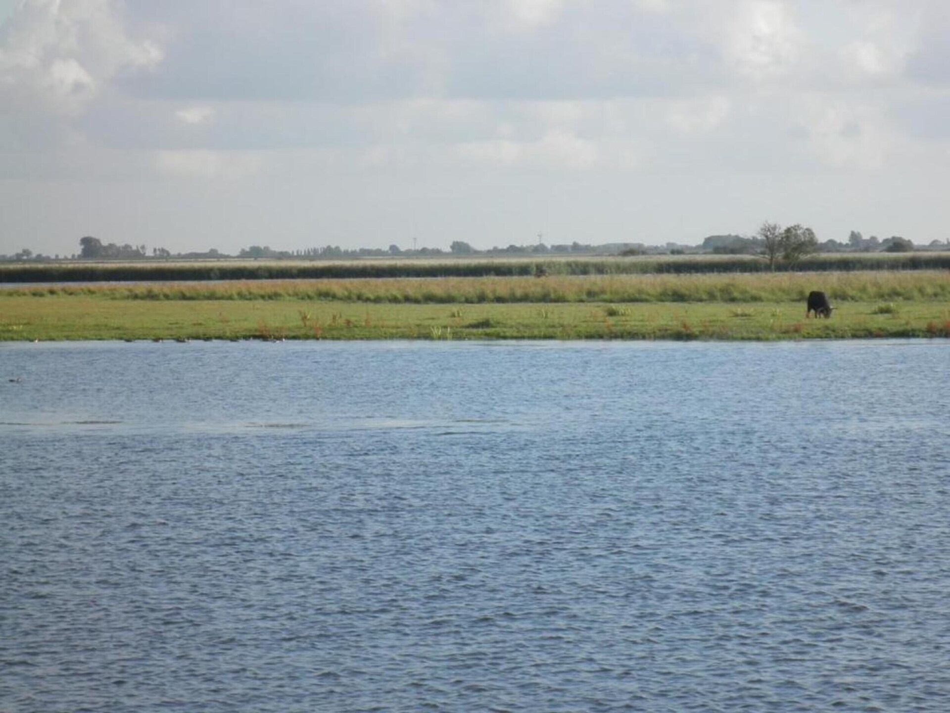 De Scholekster: Vrijstaand vakantiehuis aan het Lauwersmeer in Oostmahorn - foto 26