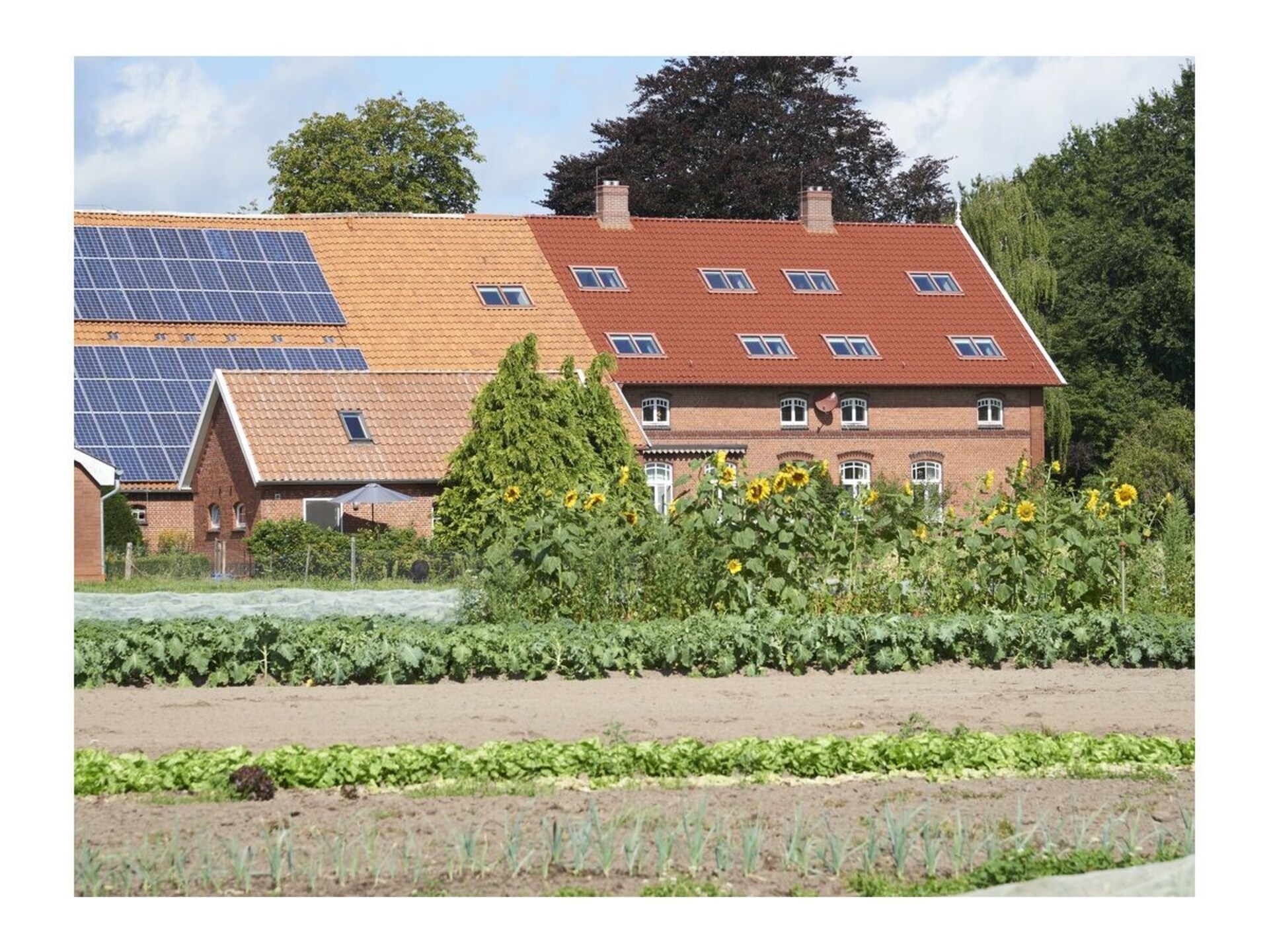 8-persoons vakantiehuis in het centrum van Großefehn - foto 11