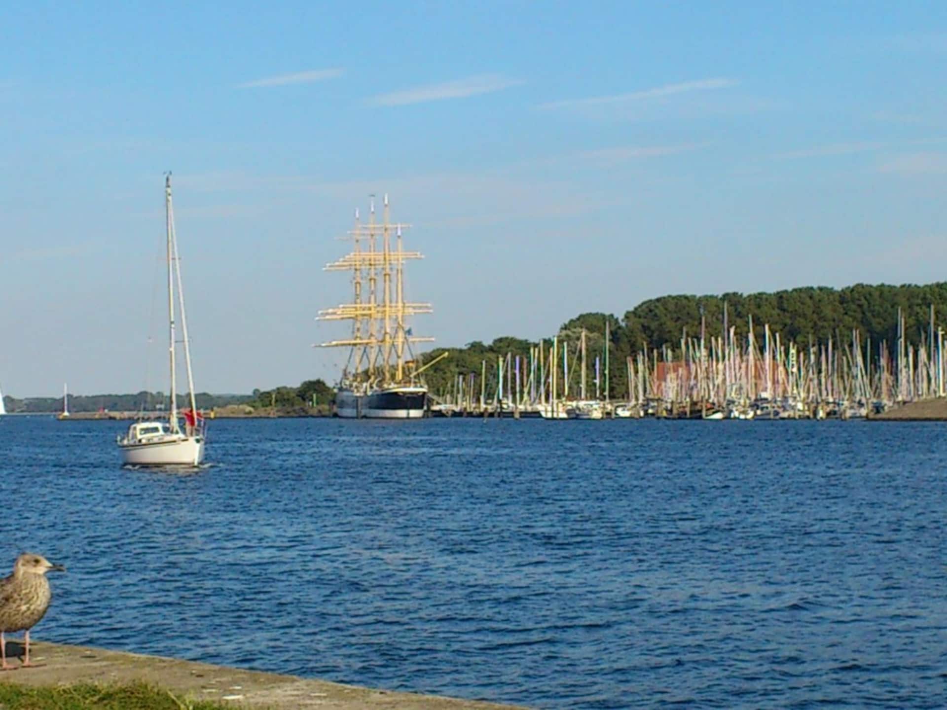 91657 - foto 22