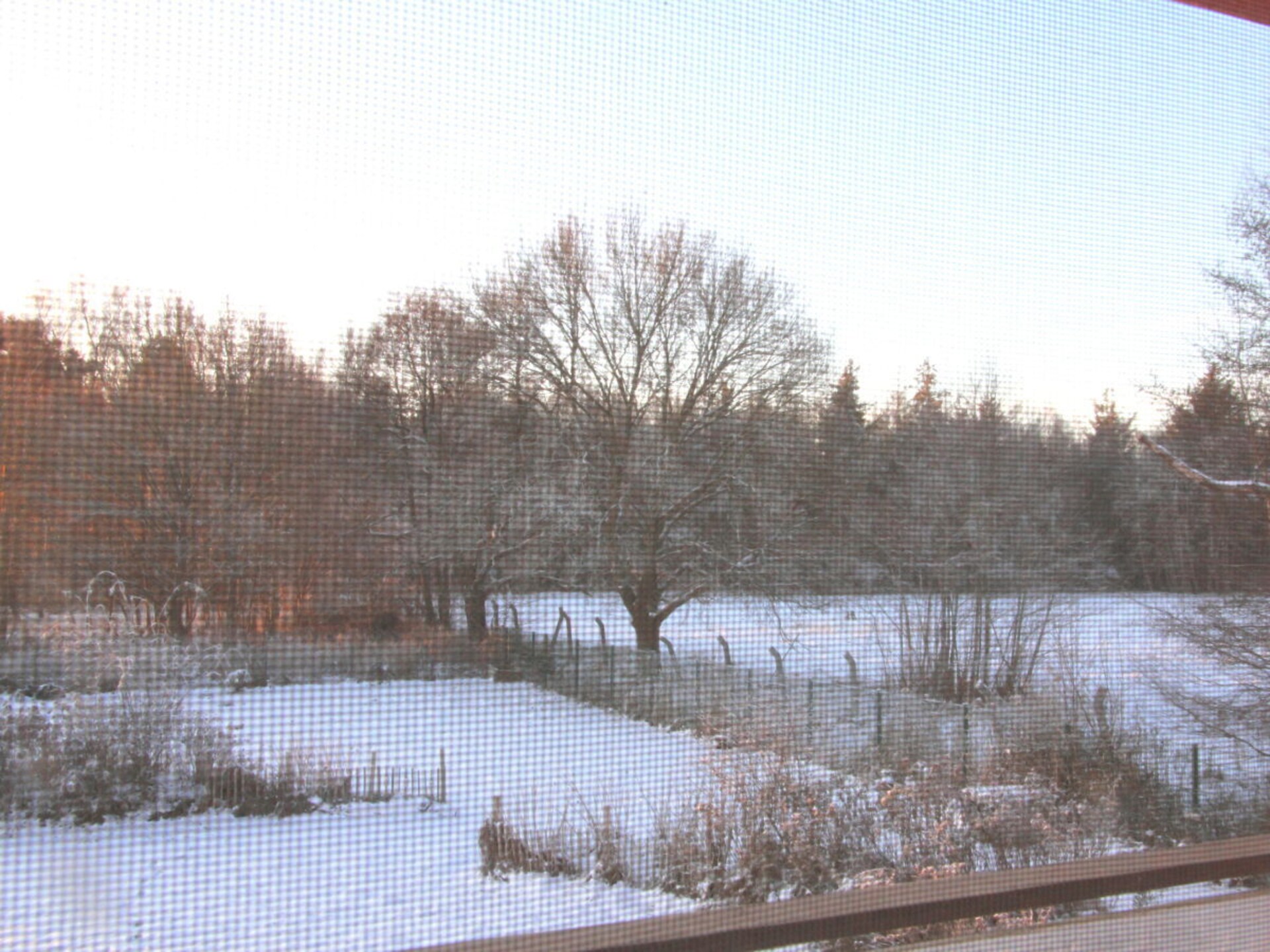 278830 - foto 14