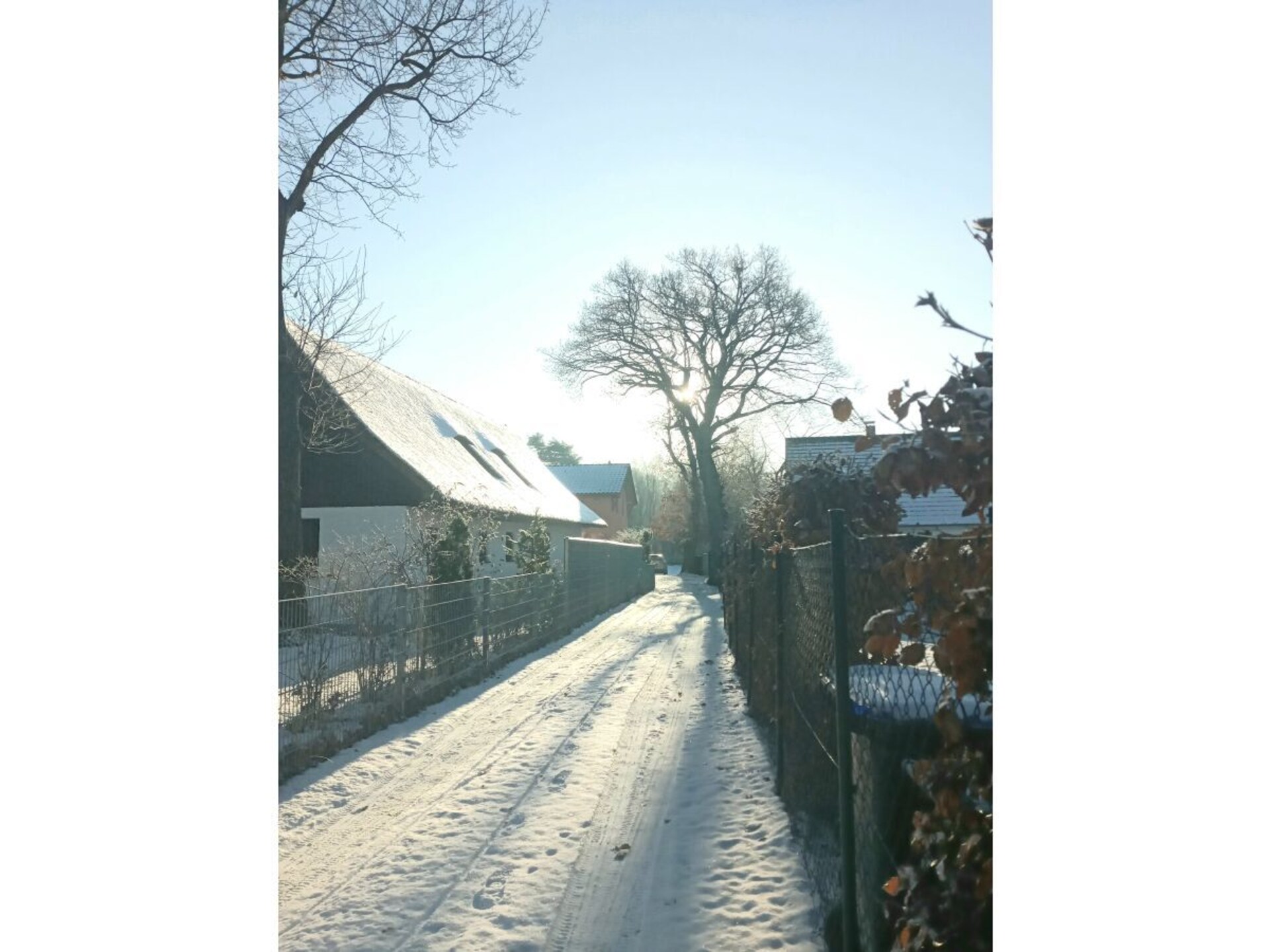 278830 - foto 20