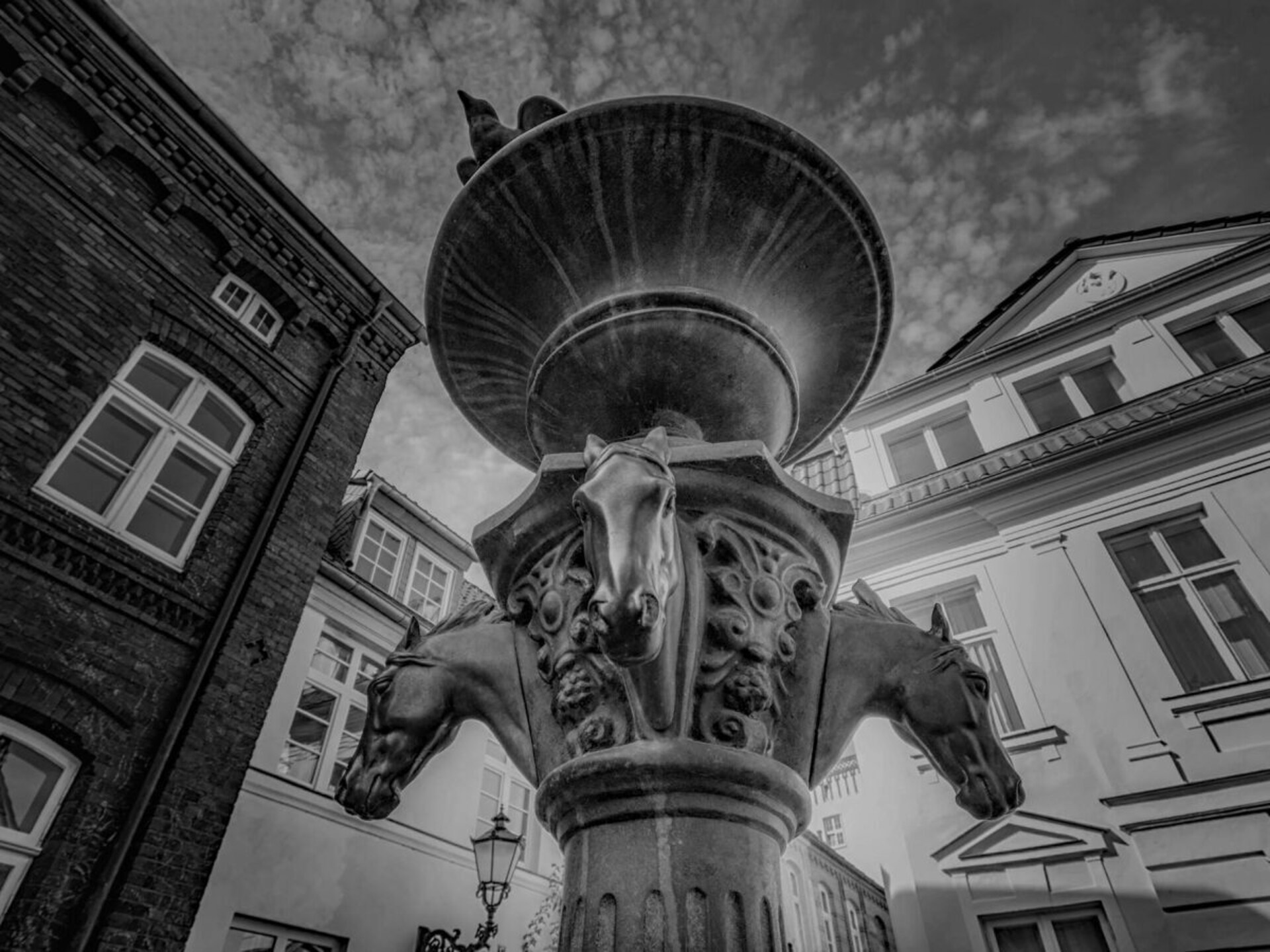 67599 - foto 5