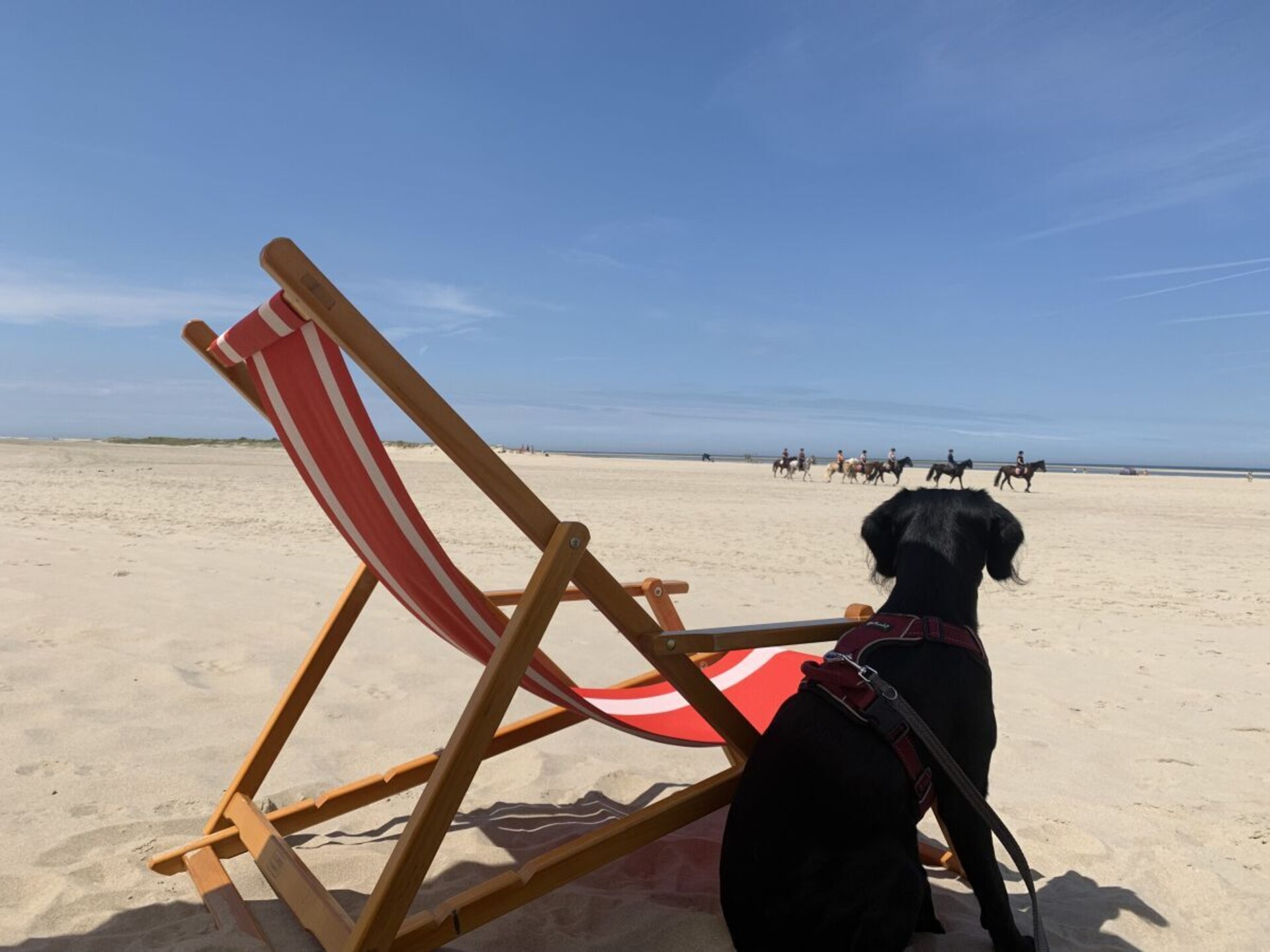 Luxe vakantiehuis Villa De Oester in Renesse voor 6 personen - foto 35
