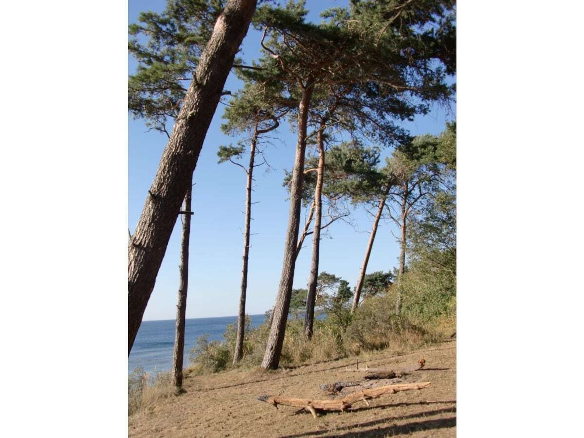 217356 - foto 20