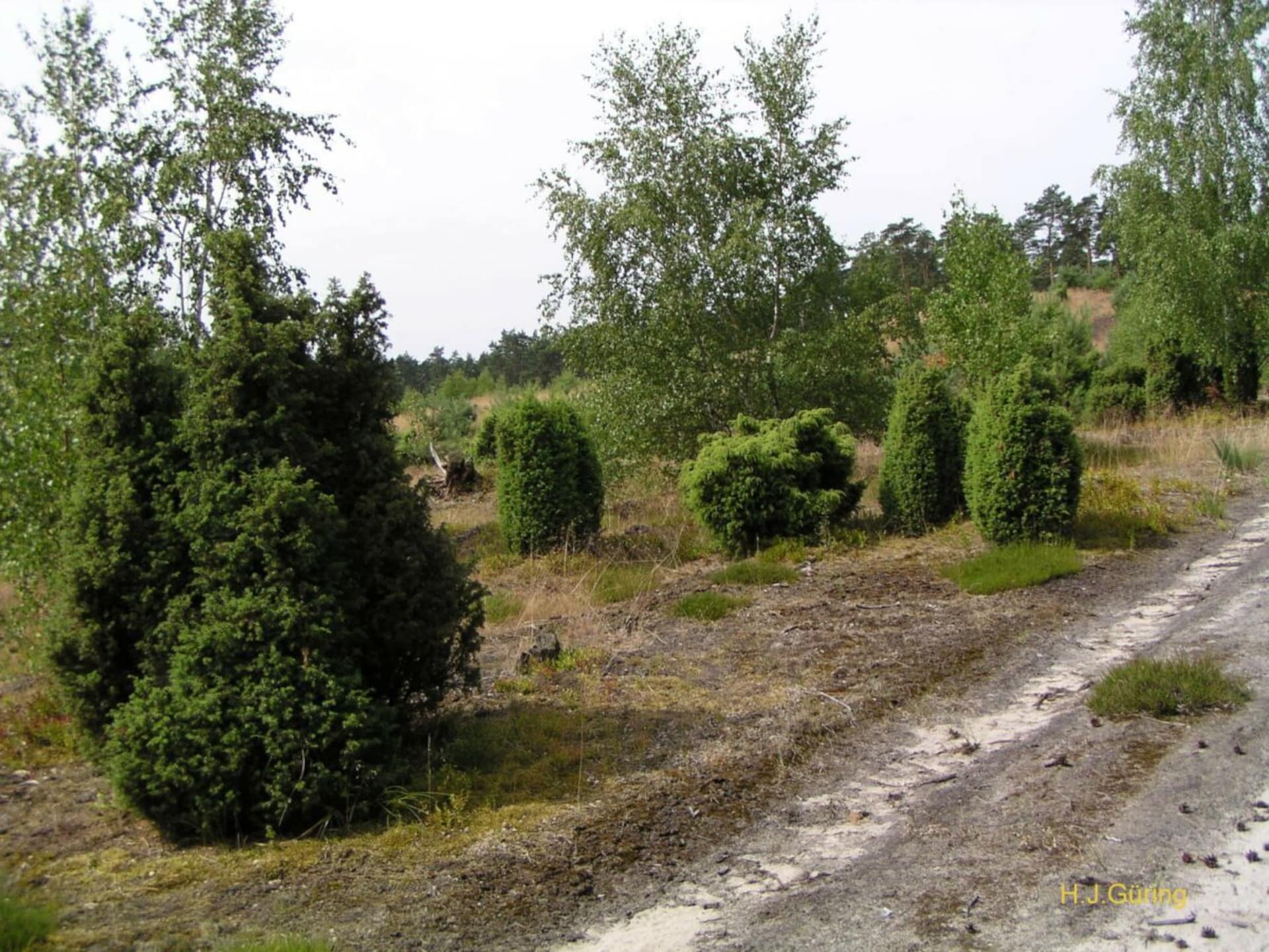 380506 - foto 31