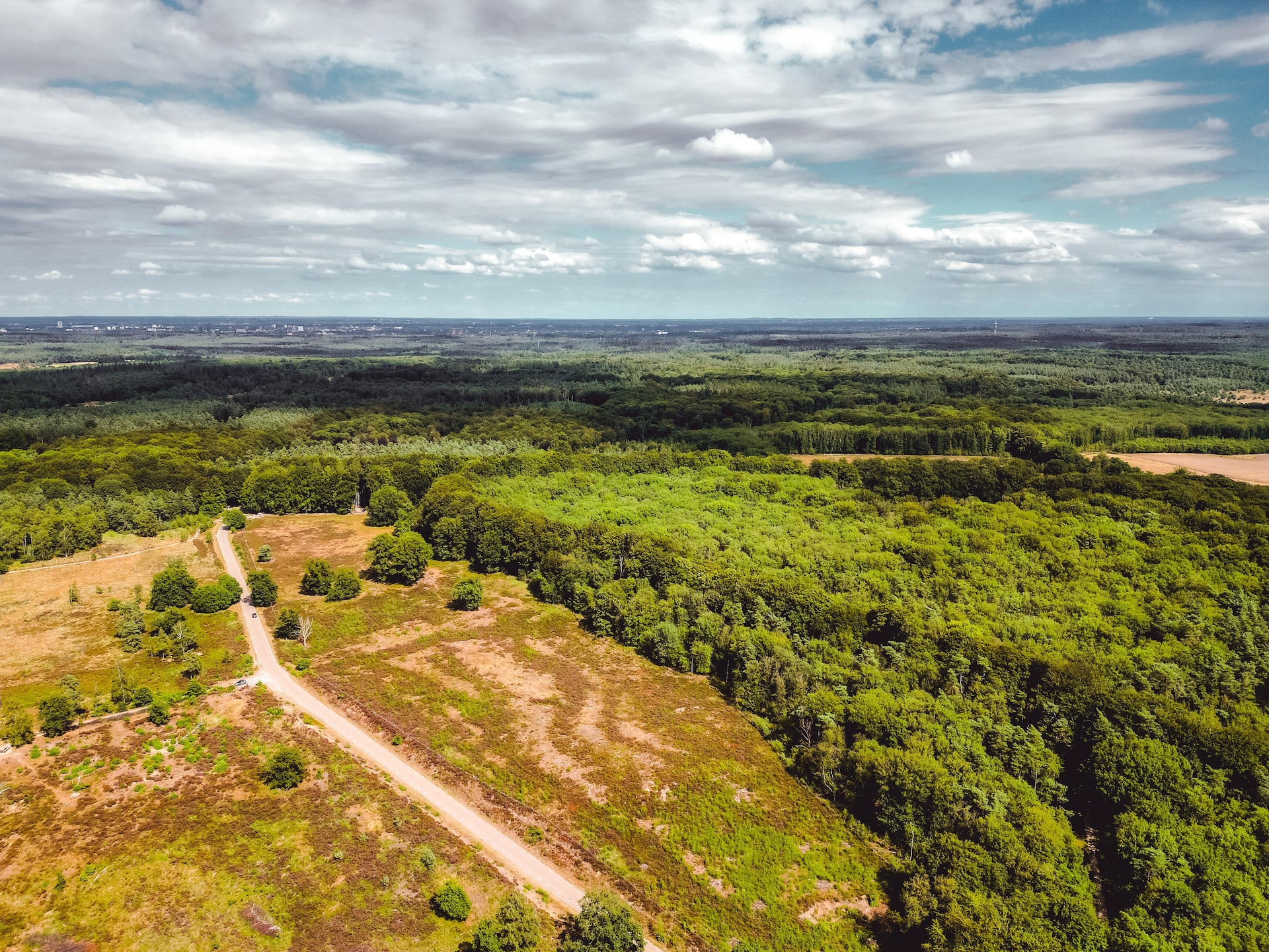 Vrijstaand boshuisje met tuin op Bospark de Schaapskooi, huisdieren welkom - foto 22