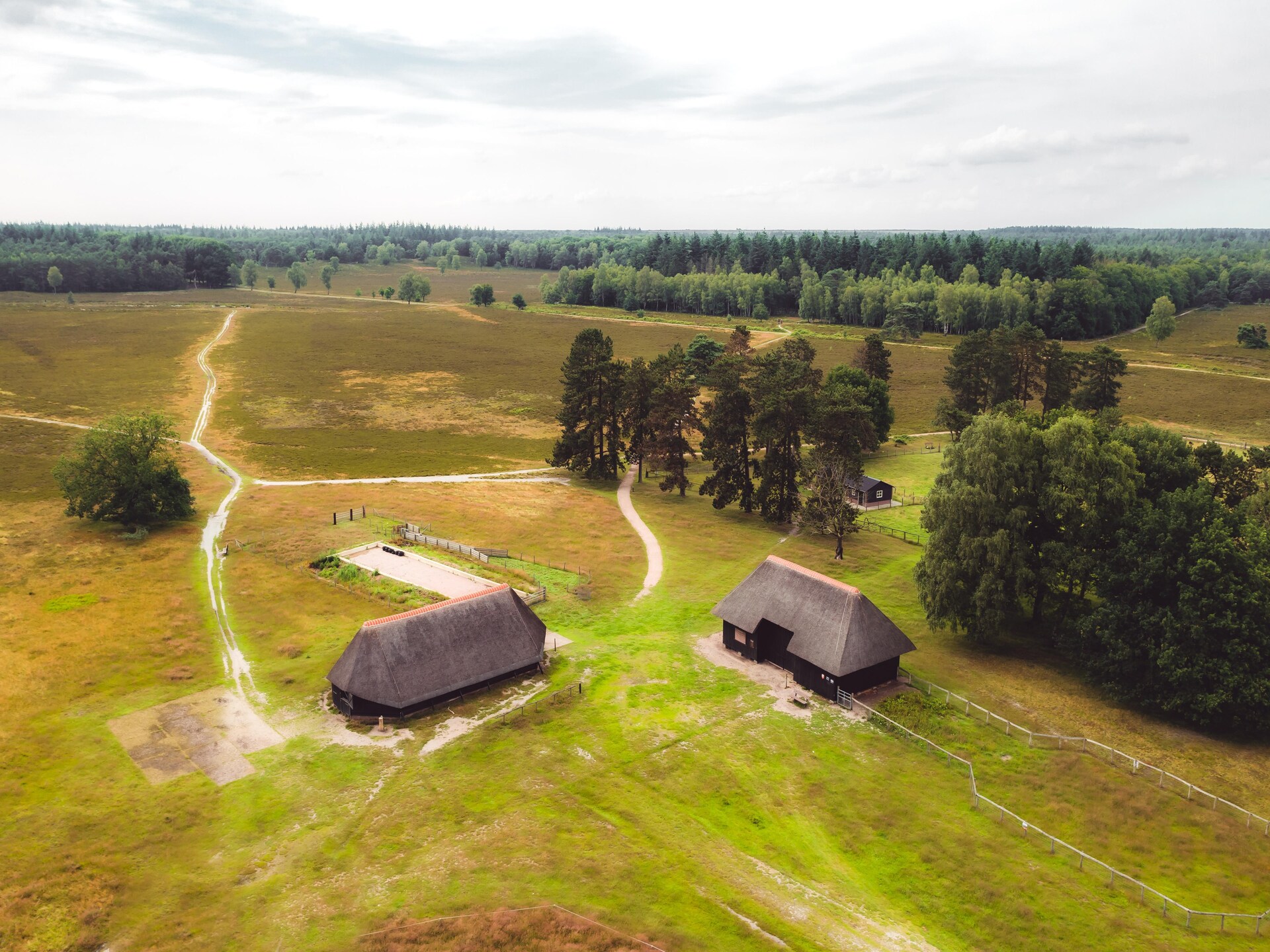 Vrijstaand boshuisje met tuin op Bospark de Schaapskooi, huisdieren welkom - foto 28