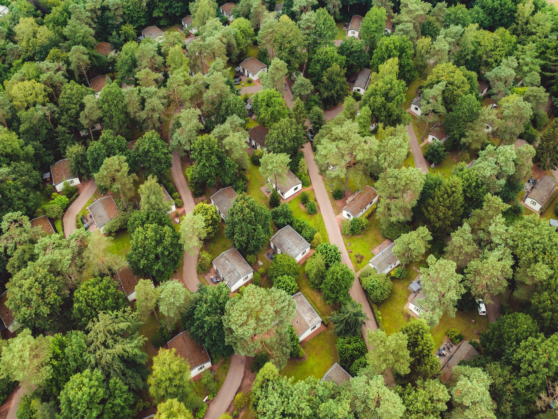 Vrijstaand boshuisje met tuin op Bospark de Schaapskooi, huisdieren welkom - foto 18