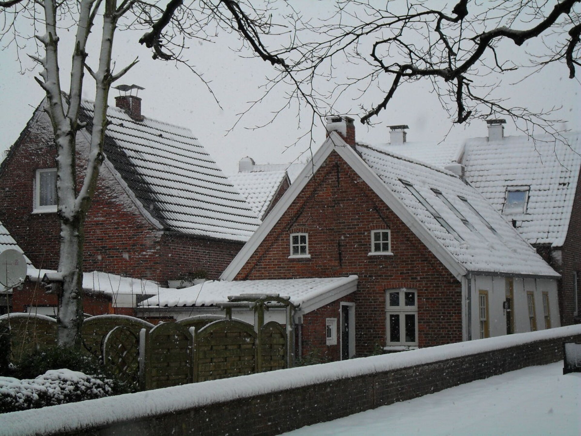 204123 - foto 2