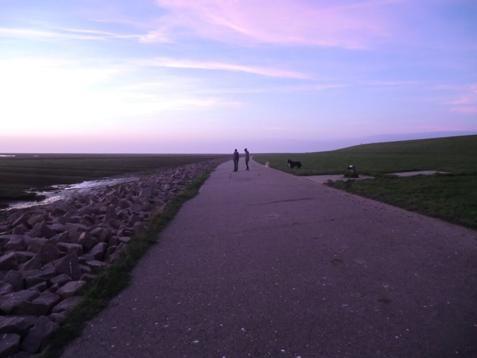 22665 - foto 22
